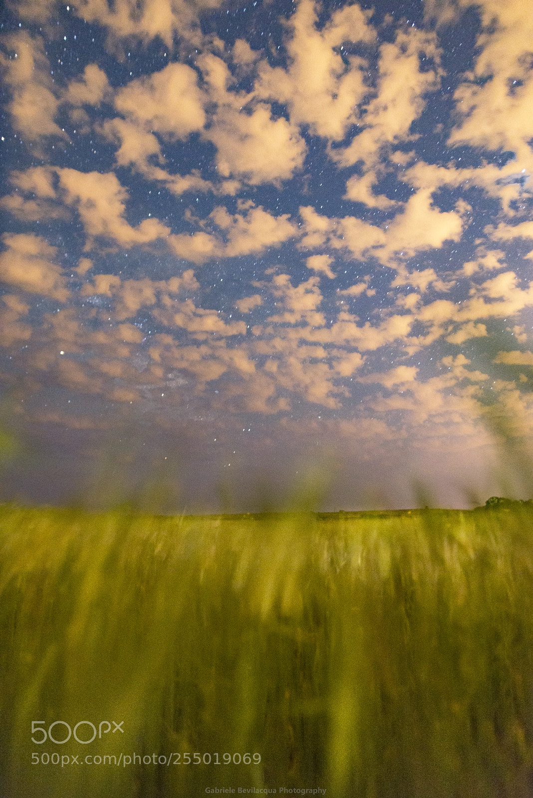 Nikon D610 sample photo. Nightscape photography