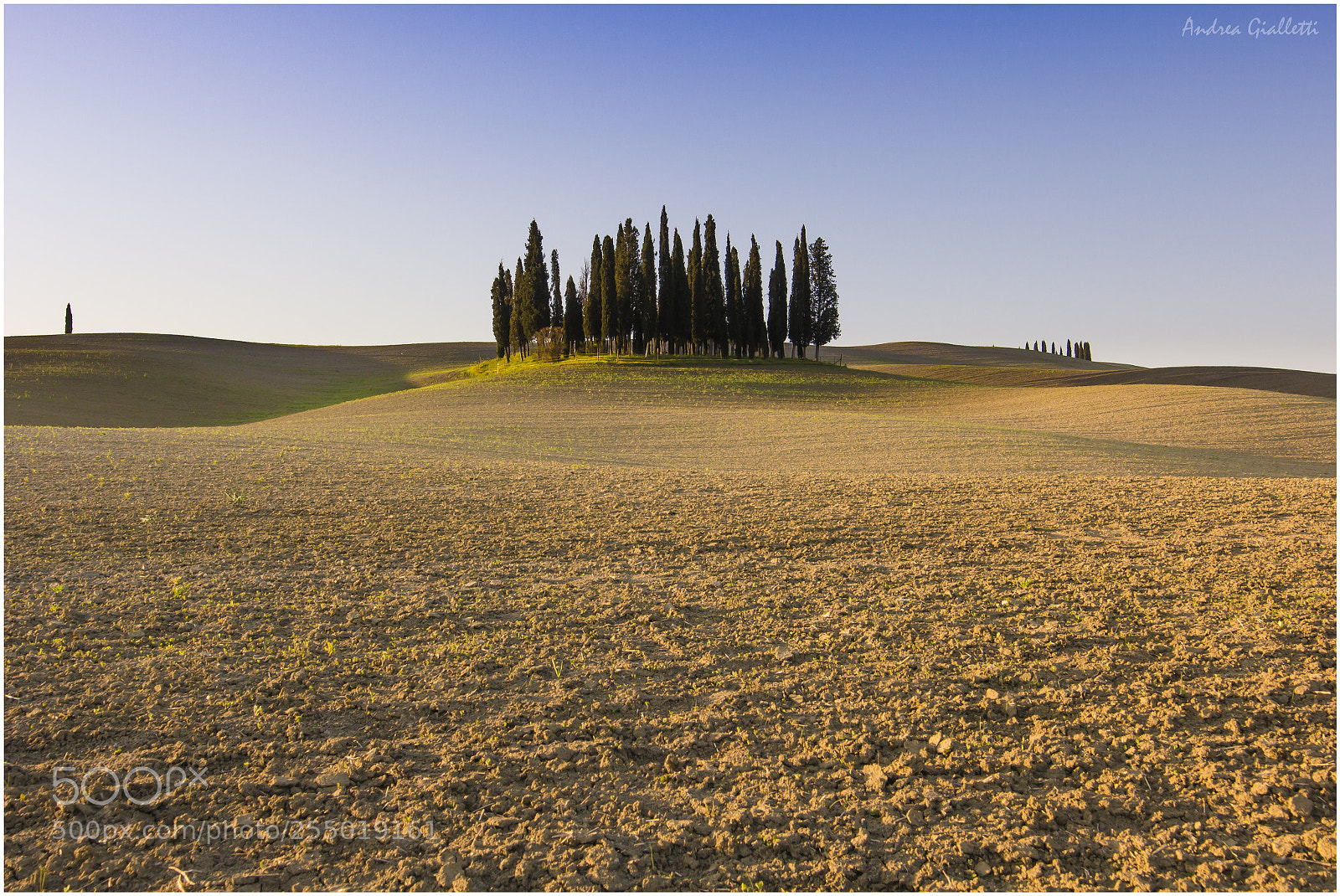 Canon EOS 60D sample photo. Cipressi di torrenieri photography