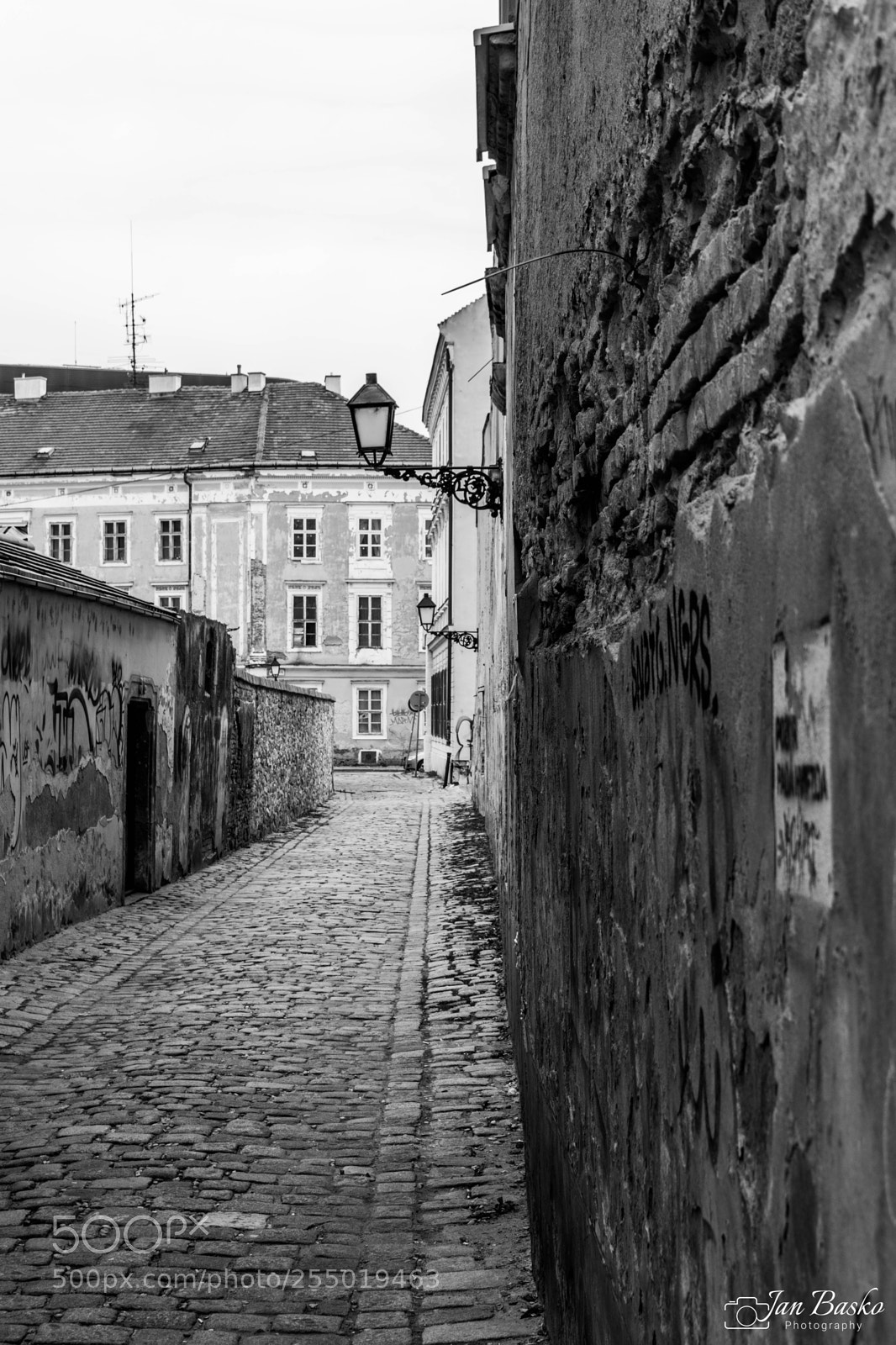 Nikon D5500 sample photo. Look behind the corner photography