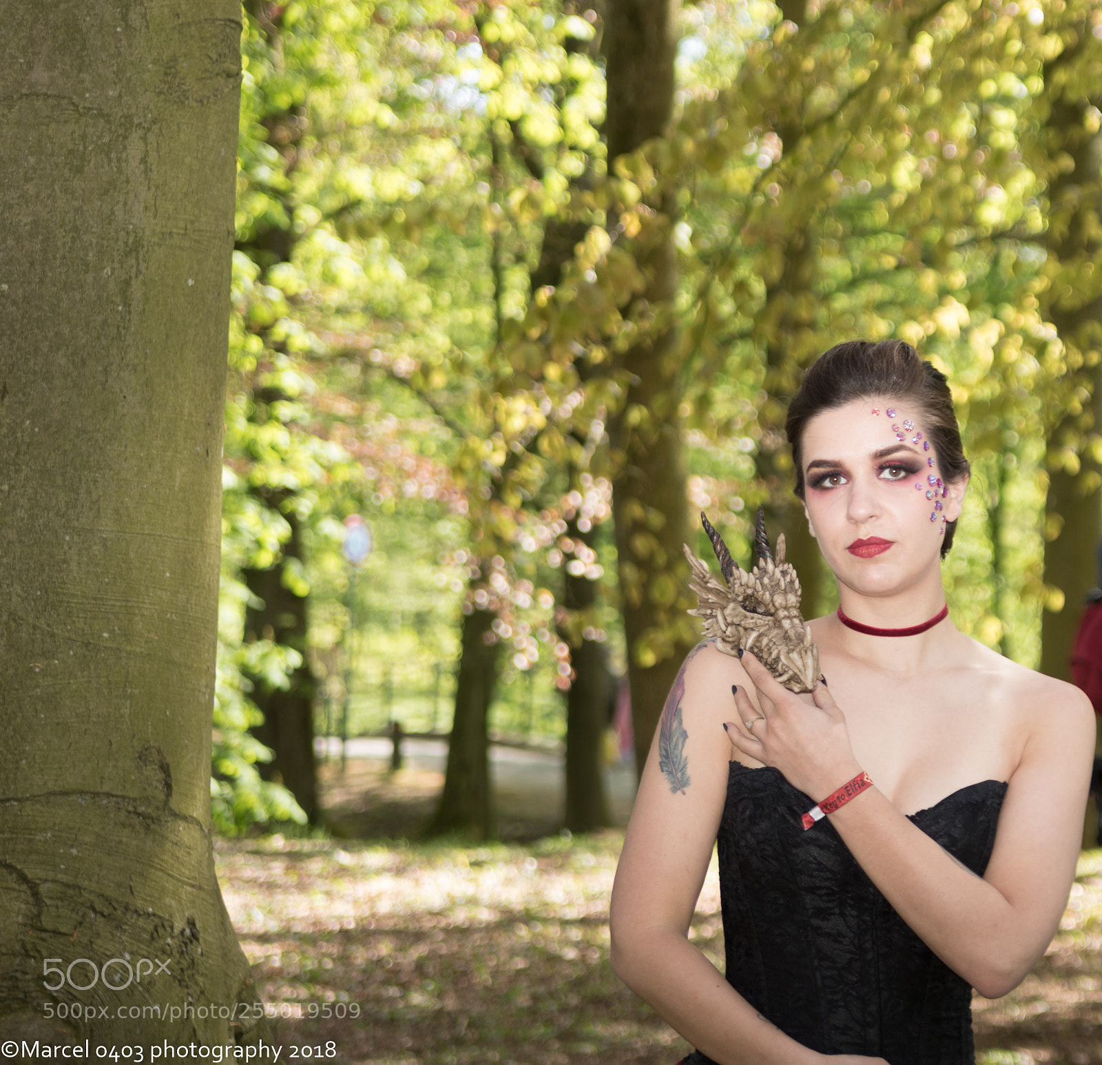 Canon EOS 760D (EOS Rebel T6s / EOS 8000D) sample photo. Elfia zaterdag photography
