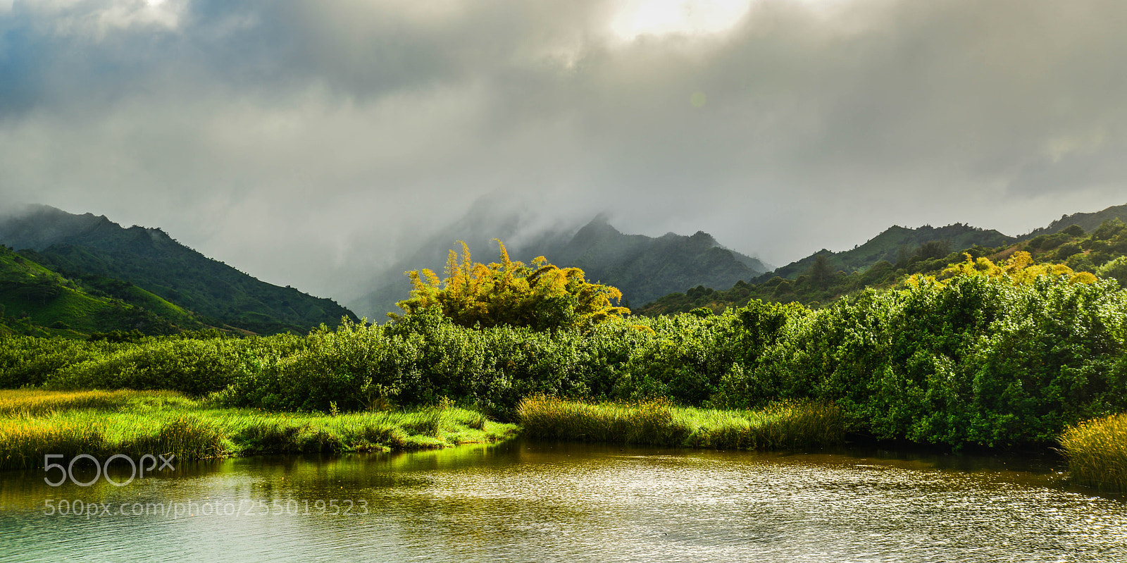 Nikon D610 sample photo. Kauai scenery photography