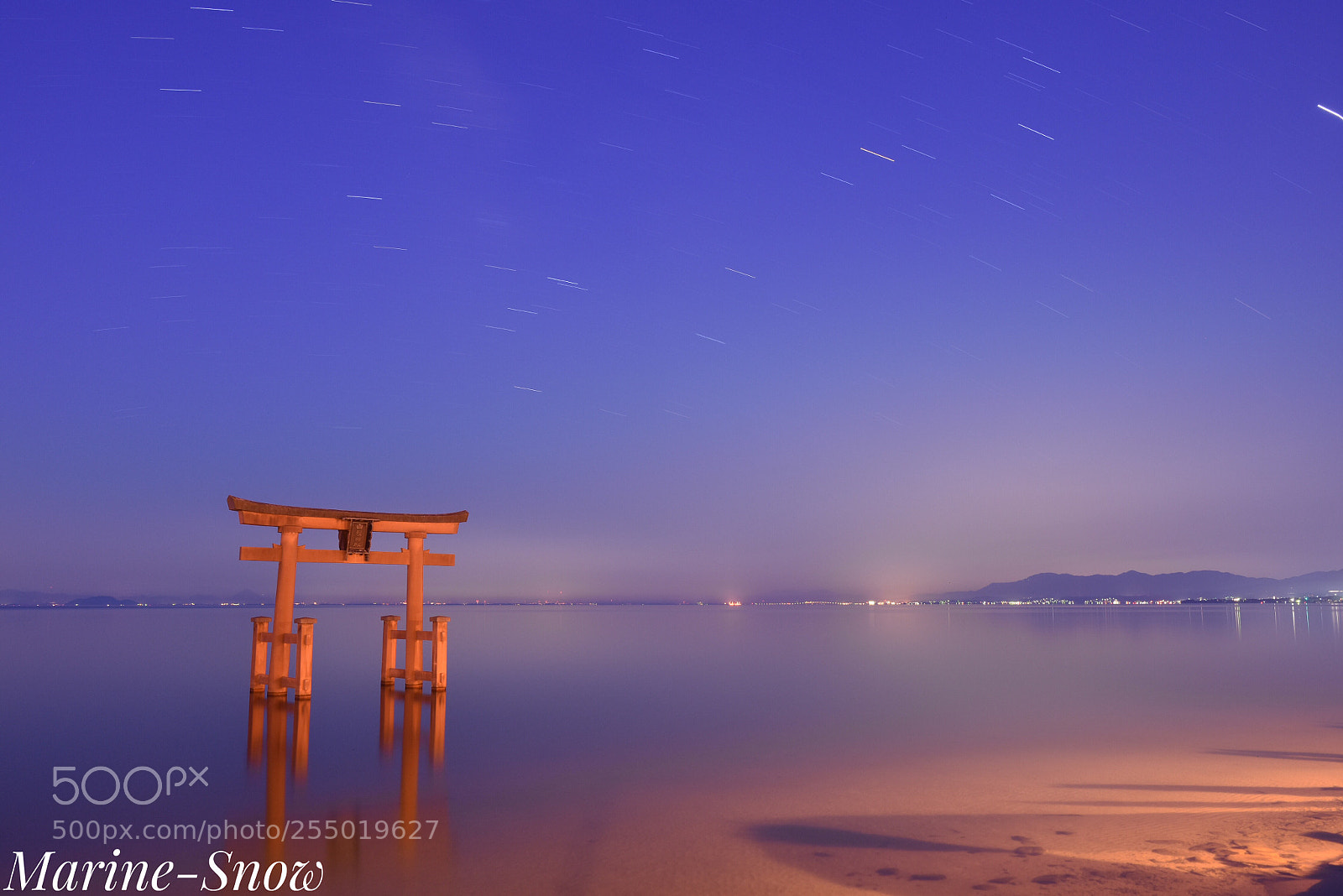 Nikon D7200 sample photo. Shirahige jinja photography
