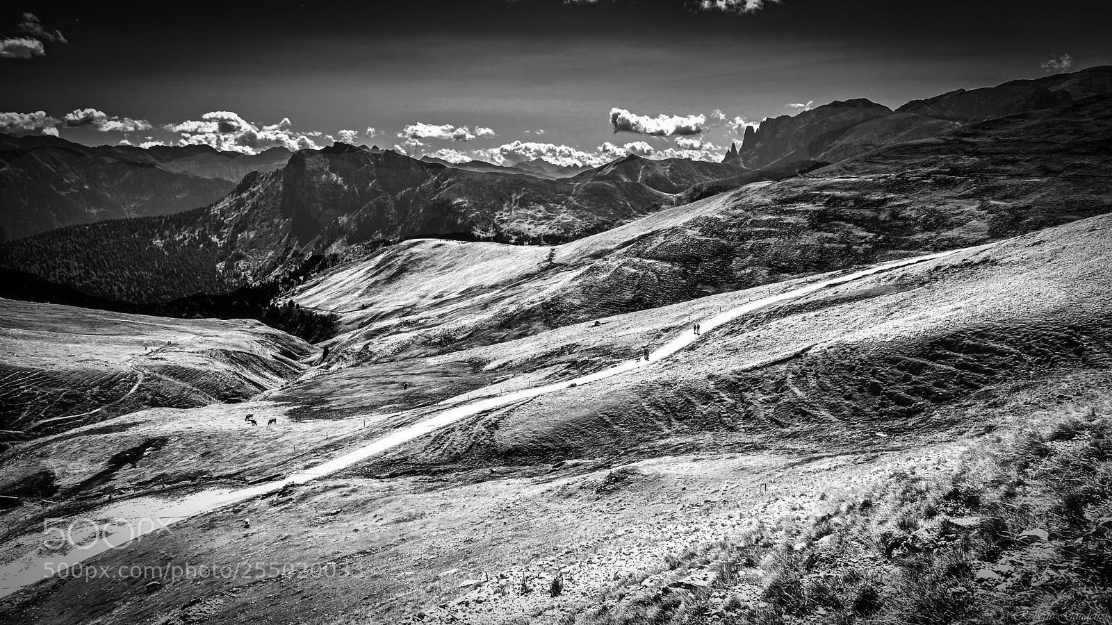 Canon EOS 5D Mark II sample photo. Path across mountains photography