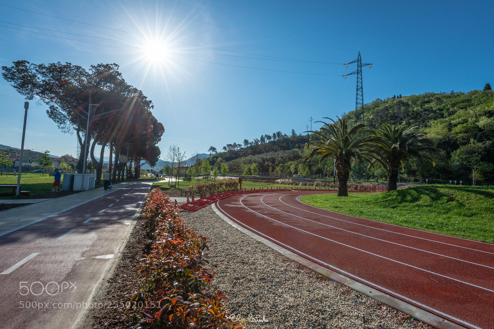 Nikon D800 sample photo. Parco mandela photography