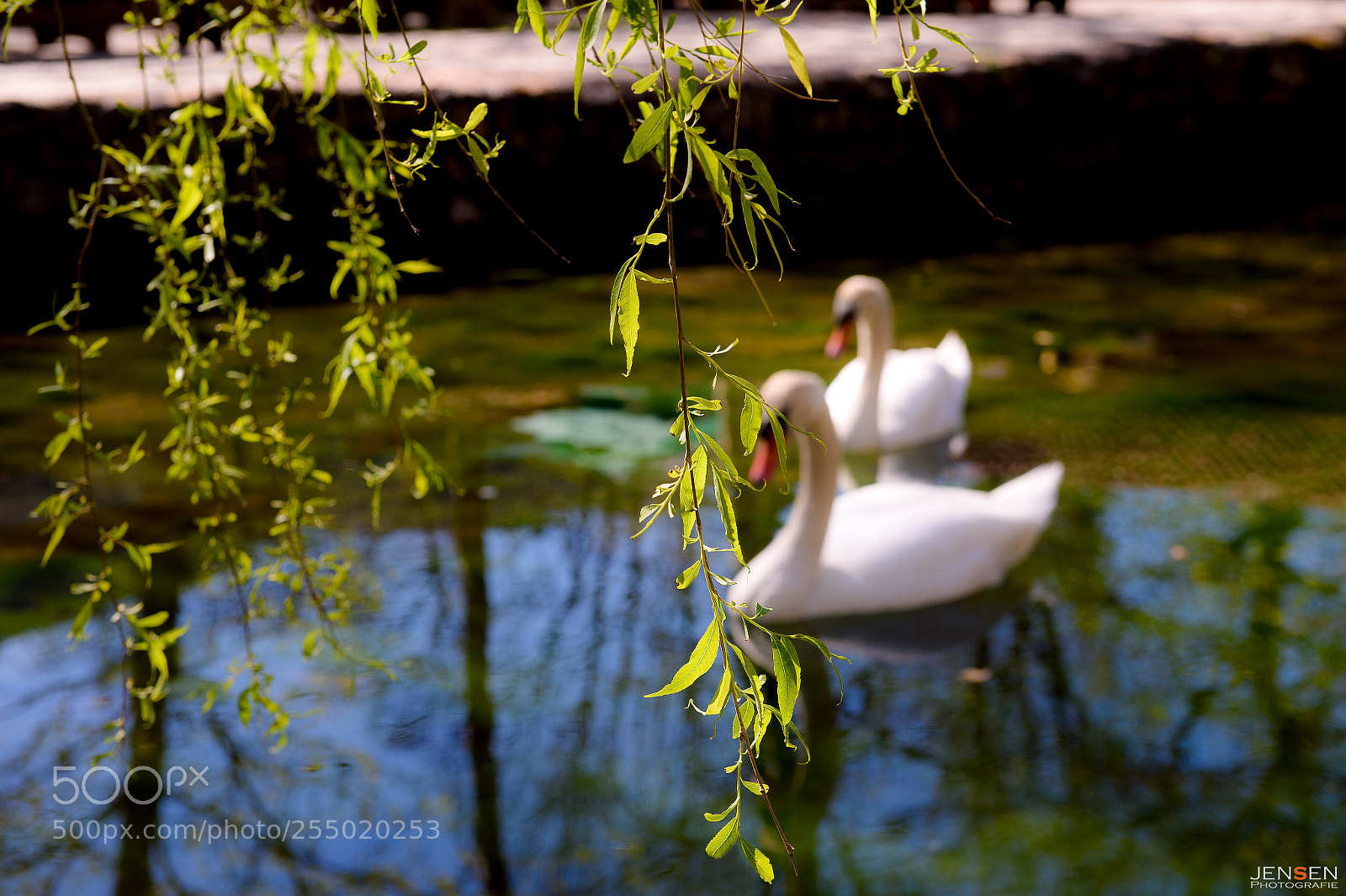 Nikon D4S sample photo. Time for intimate togetherness photography