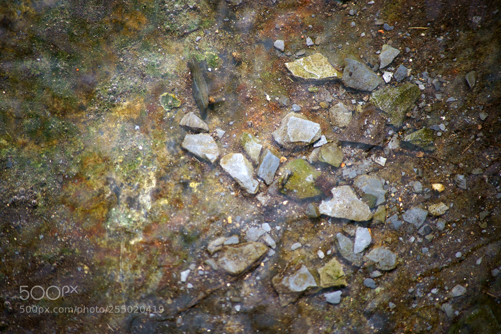 Sony a7 II sample photo. Slate and mineral underwater photography