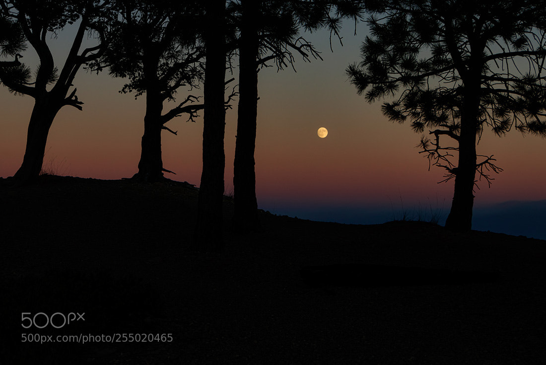 Canon EOS 80D sample photo. Moonrise photography