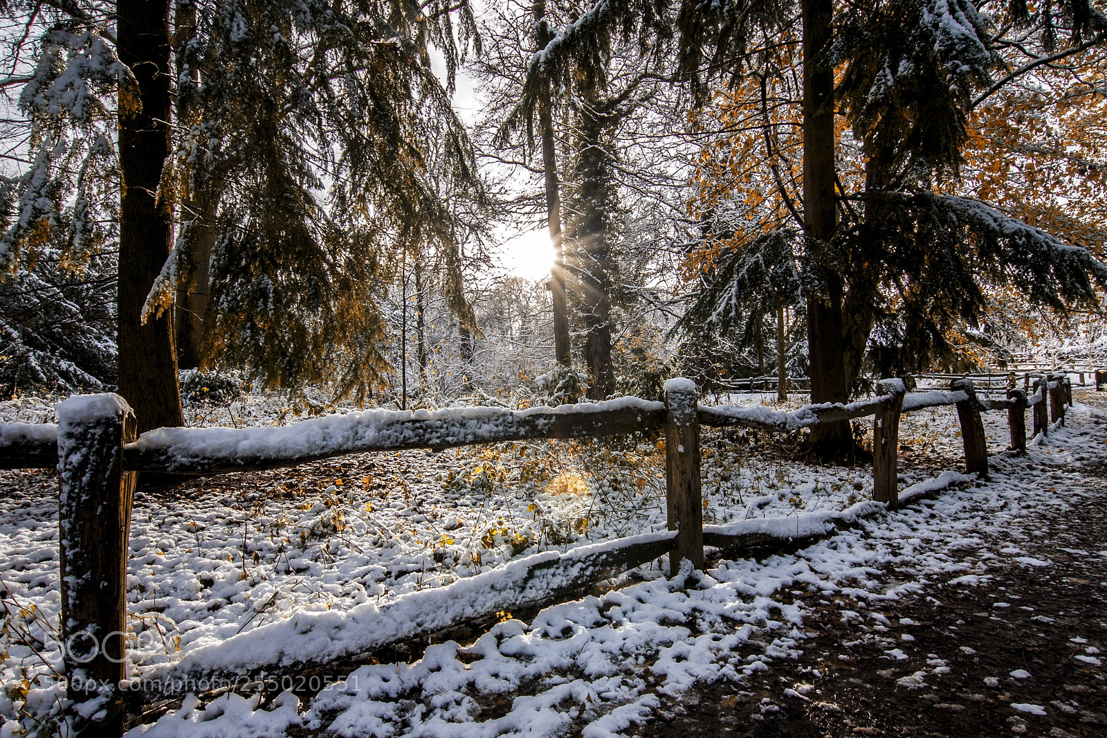 Canon EOS 40D sample photo. Apley woods photography