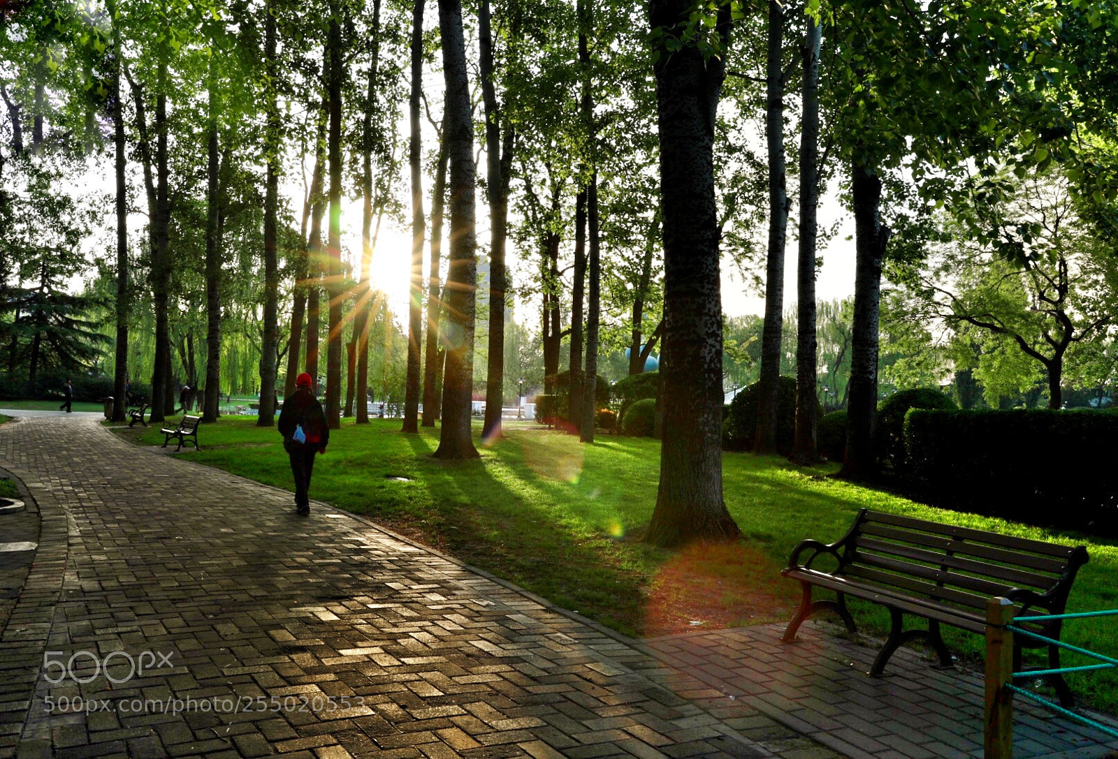 Canon EOS 5D Mark IV sample photo. Untitled photography