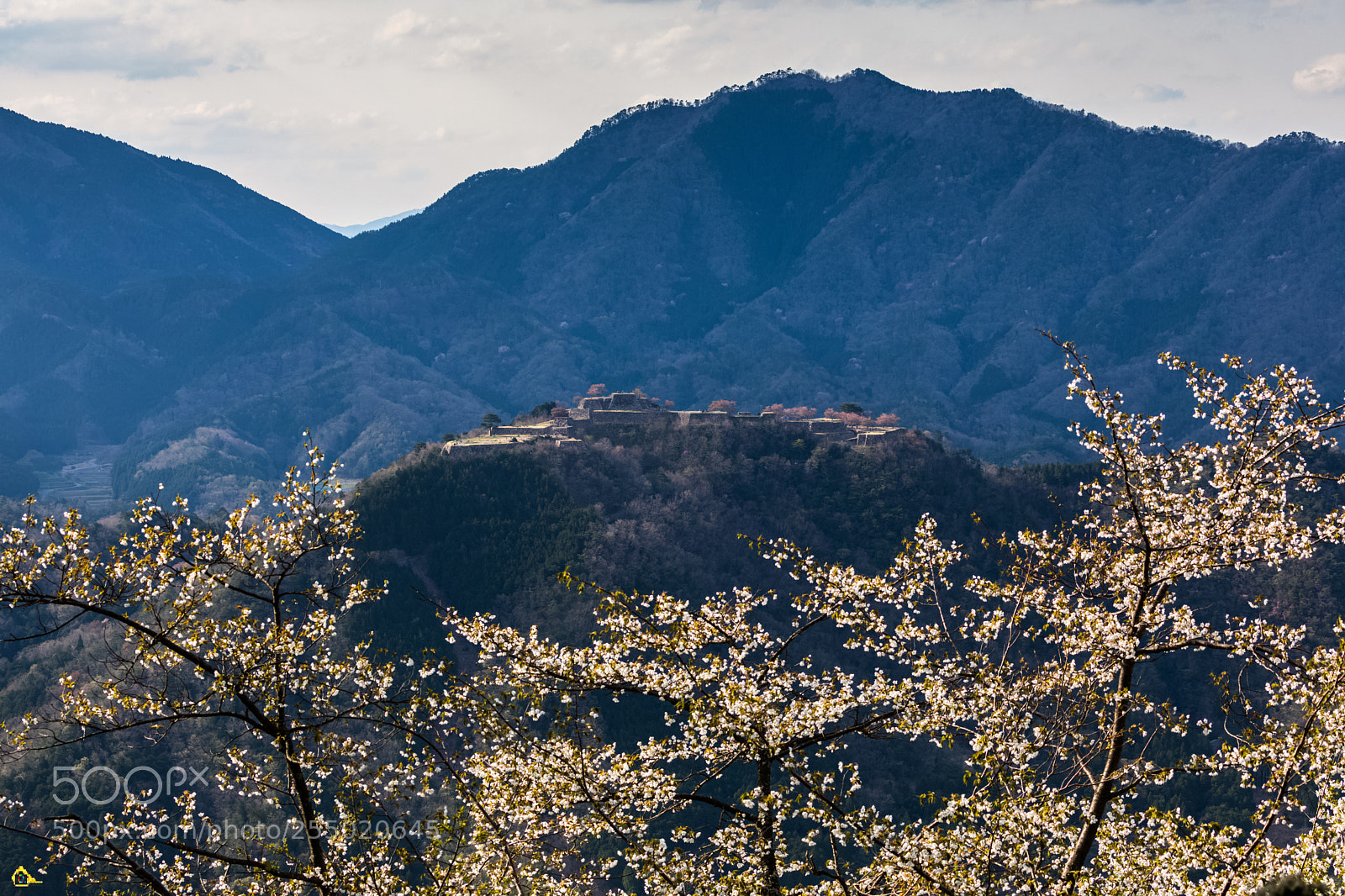 Canon EOS 5D Mark IV sample photo. 雲哥覺得：一段旅程,不用管花開了幾成 只要能拍到這樣的畫面就覺得.....價值連 “城” photography