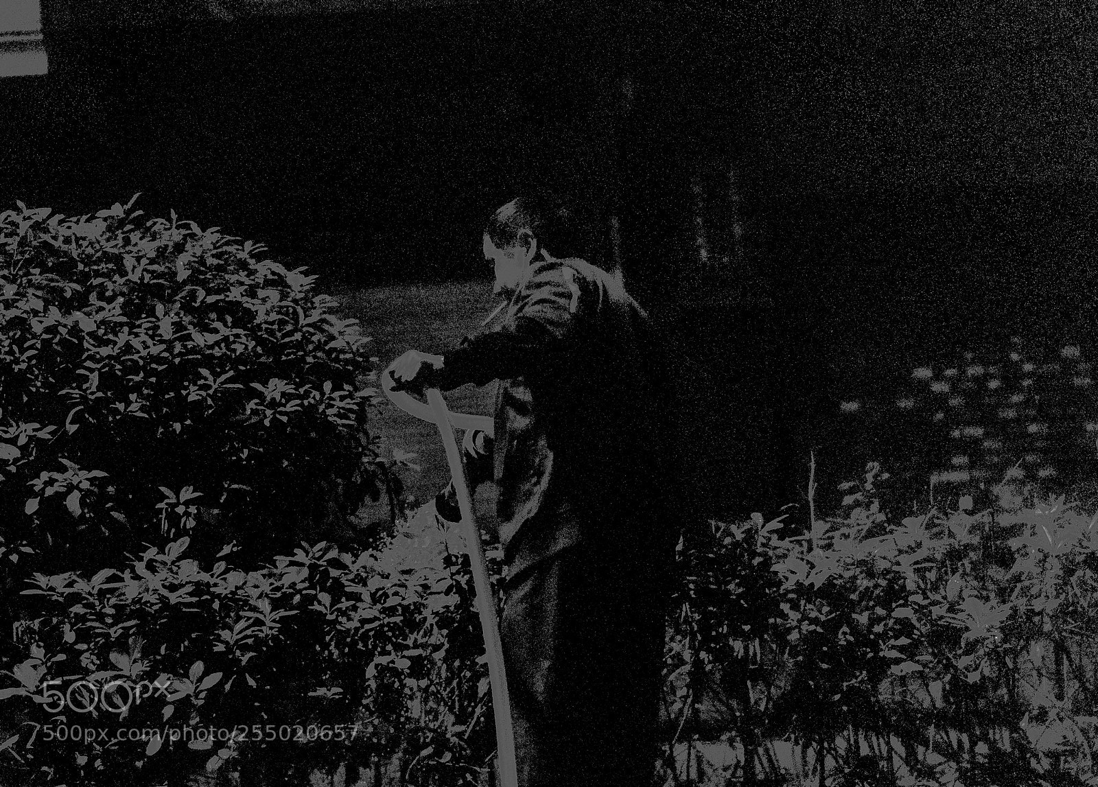 Nikon D90 sample photo. Untitled photography