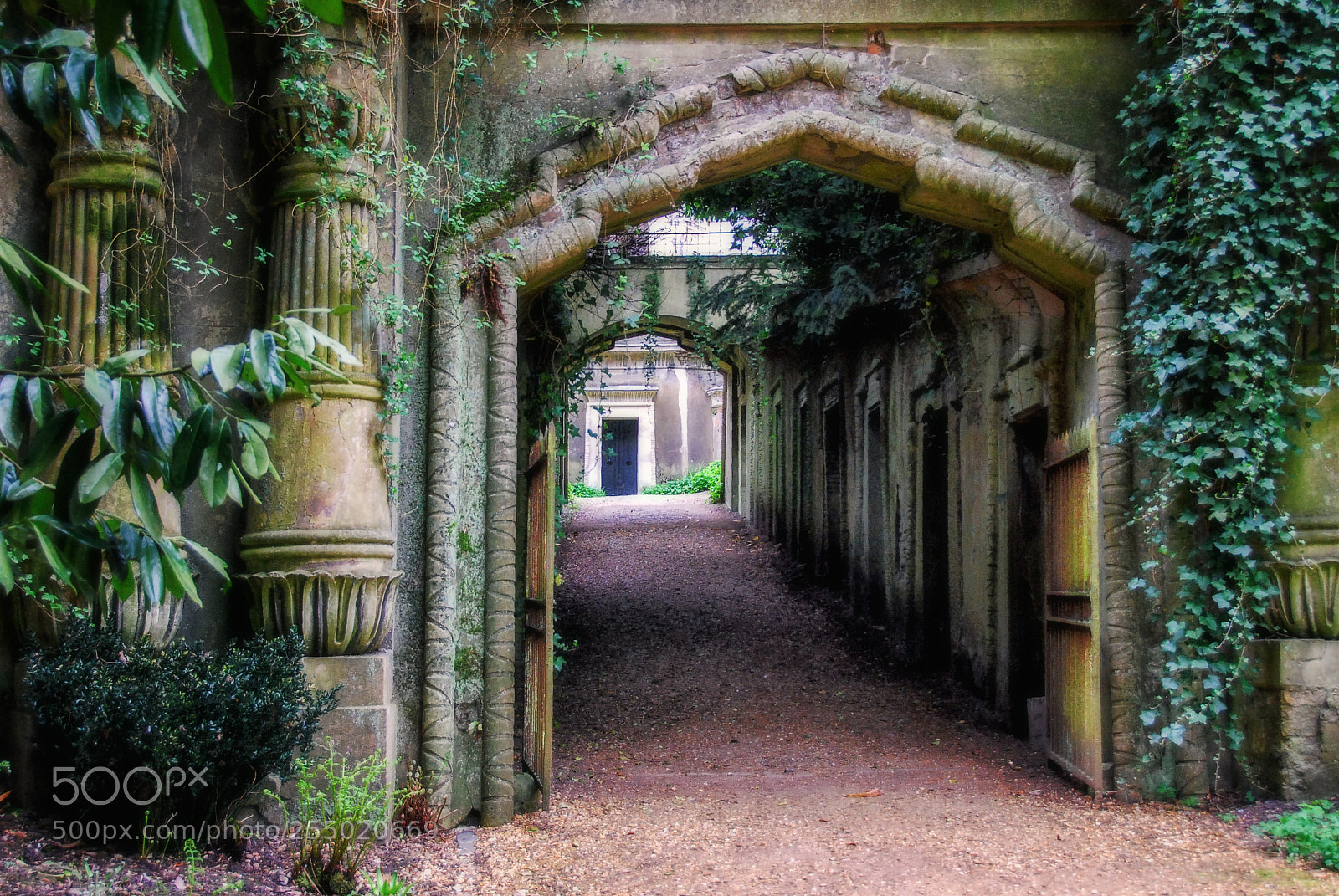 Nikon D80 sample photo. Highgate cemetery photography