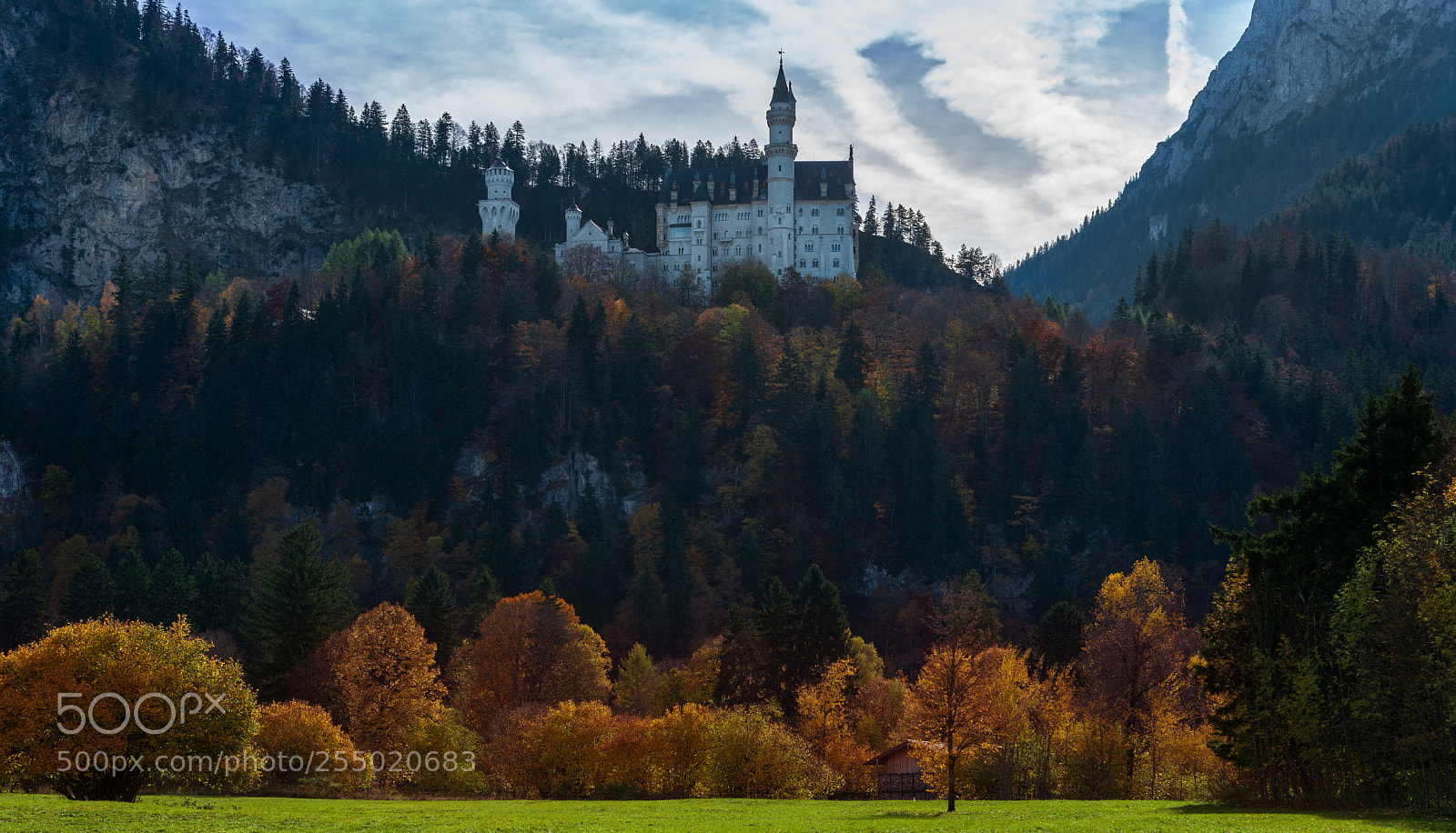 Nikon D800 sample photo. Neuschwanstein castle photography