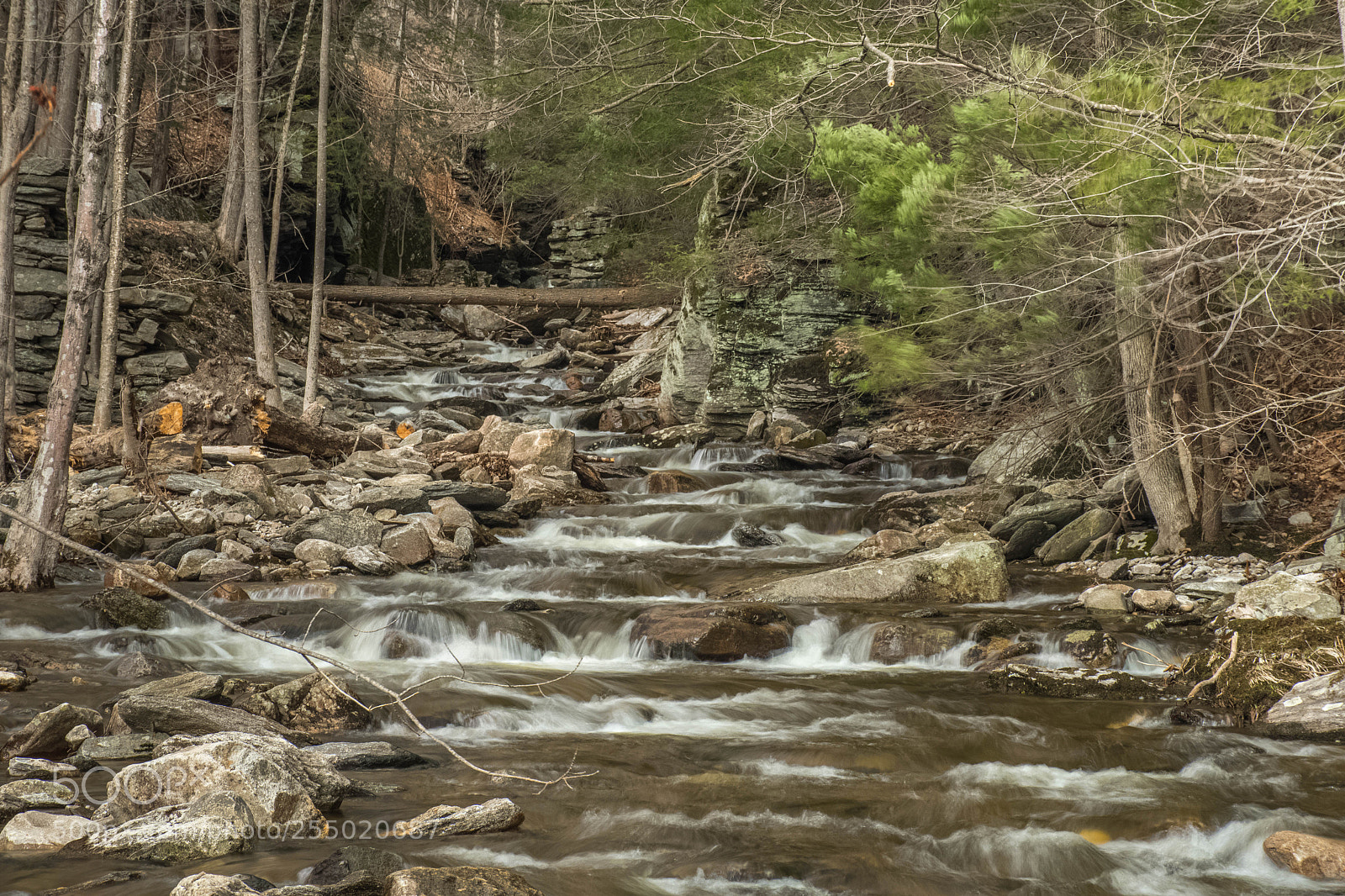 Nikon D7500 sample photo. Roaring brook 9 photography
