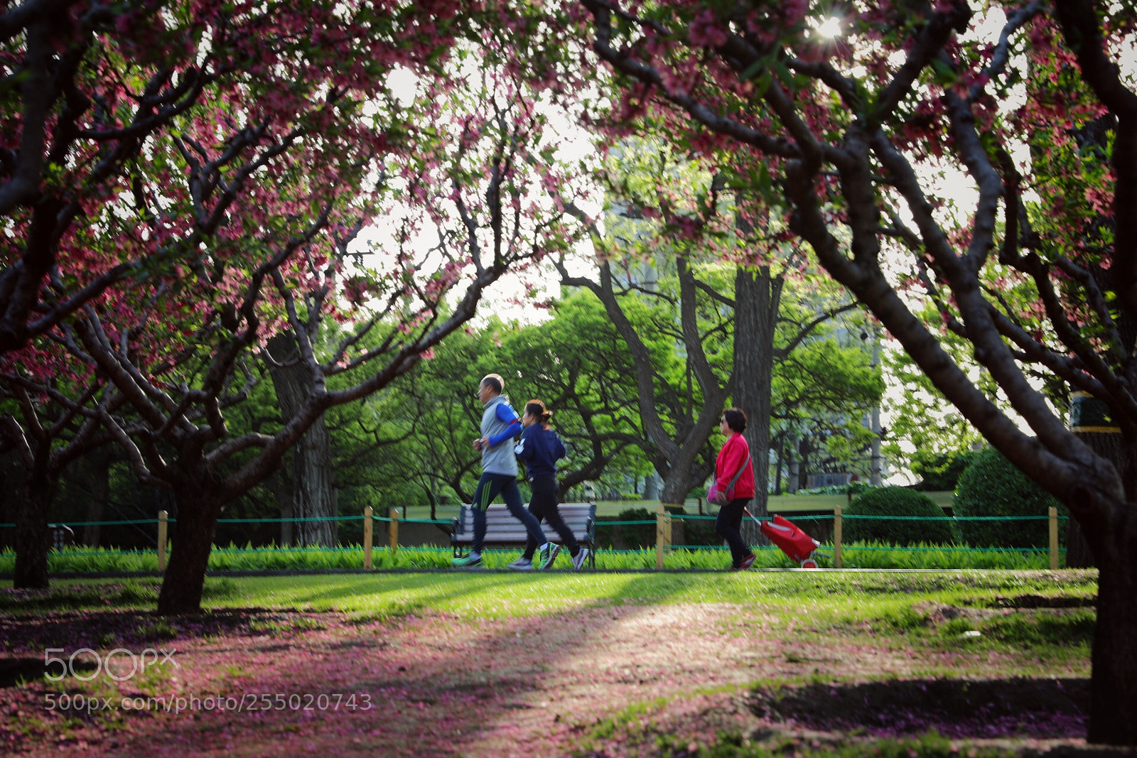 Canon EOS 5D Mark IV sample photo. Untitled photography
