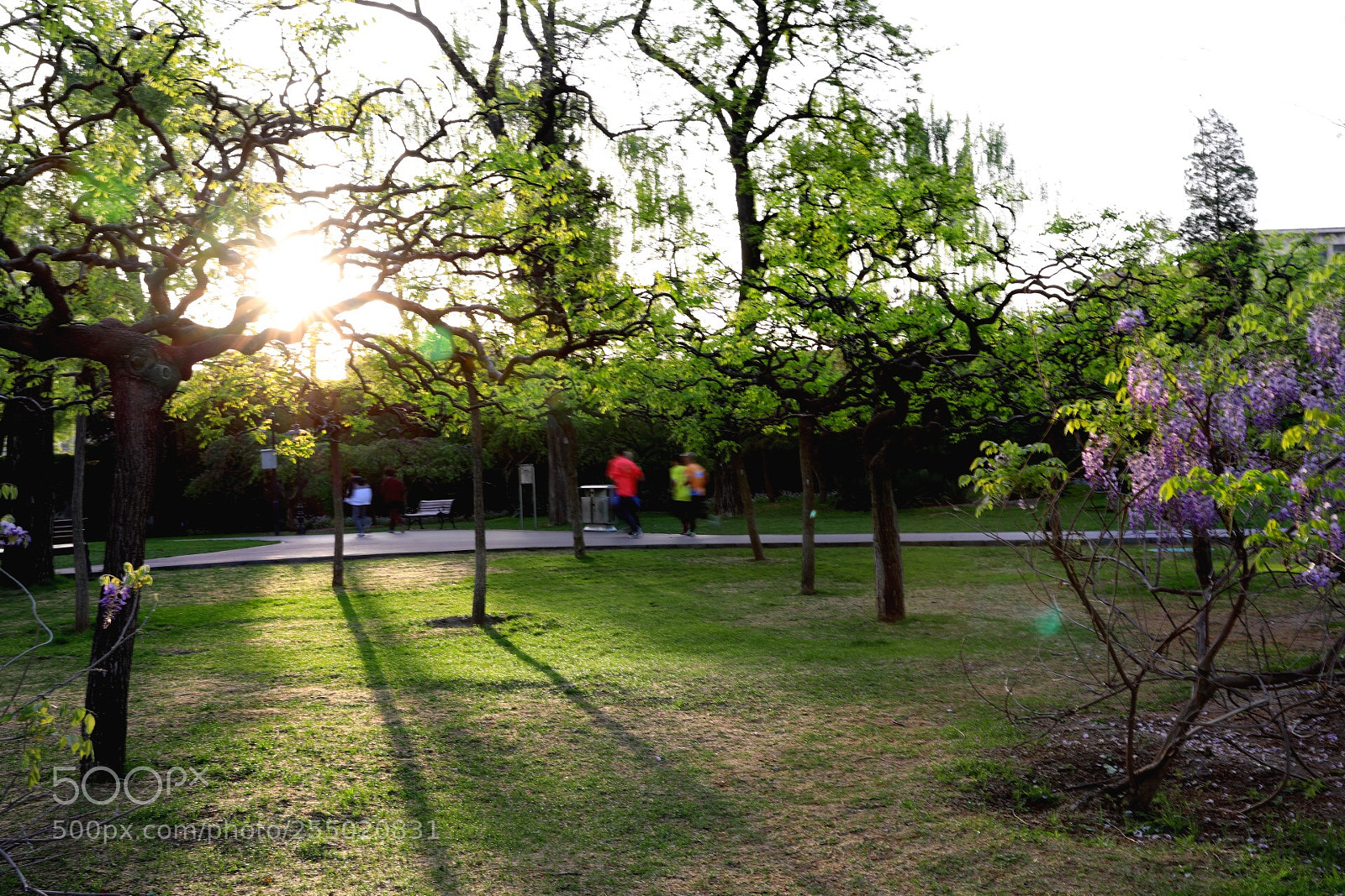 Canon EOS 5D Mark IV sample photo. Untitled photography
