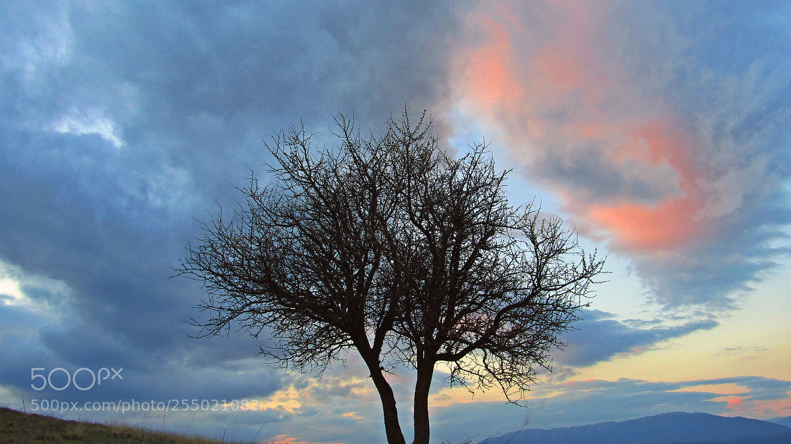 Canon PowerShot SX410 IS sample photo. Sky's colors photography