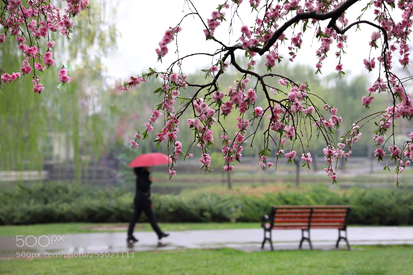 Canon EOS 5D Mark IV sample photo. Untitled photography