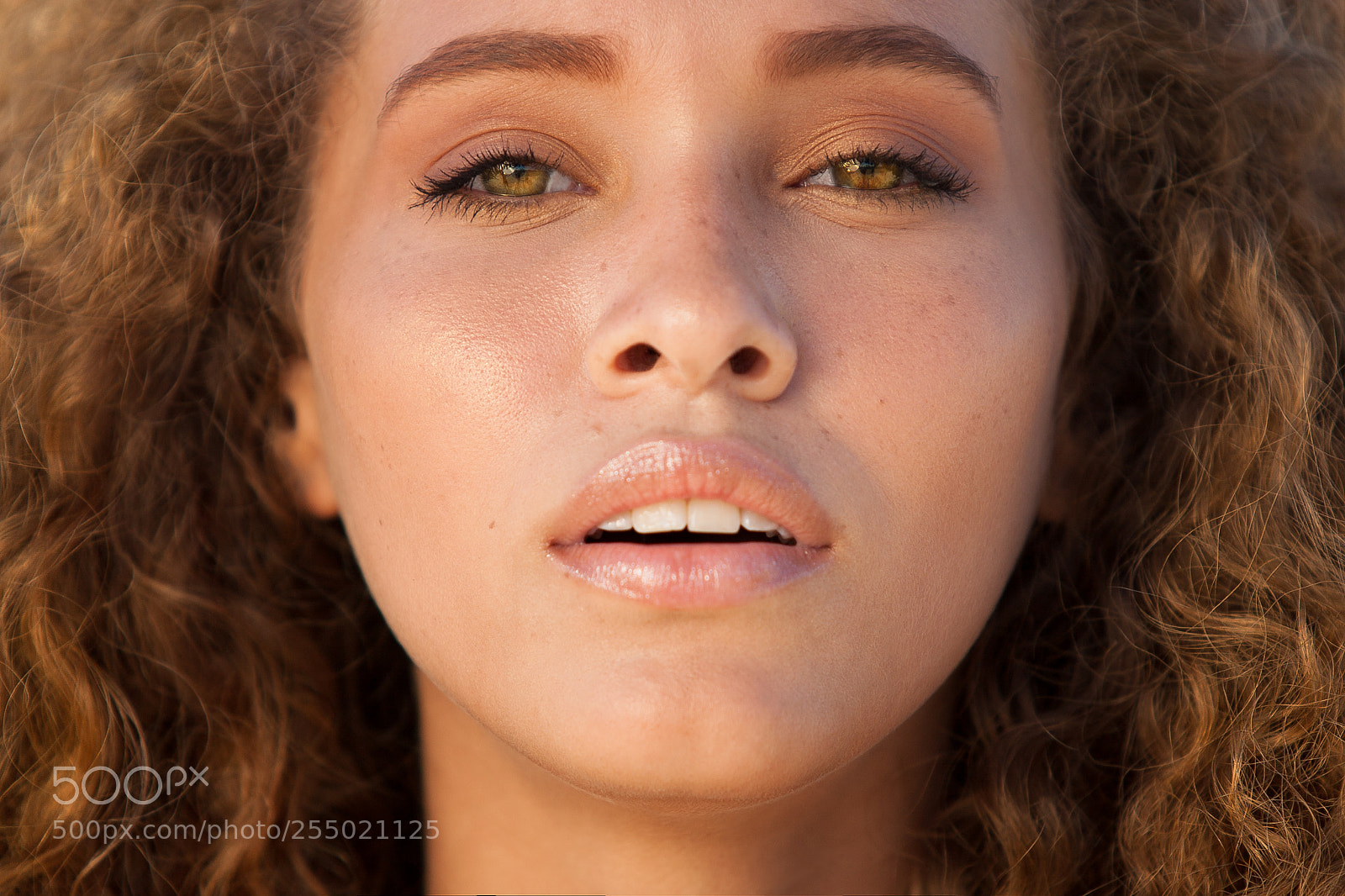 Canon EOS 5D Mark II sample photo. A come-hither look photography