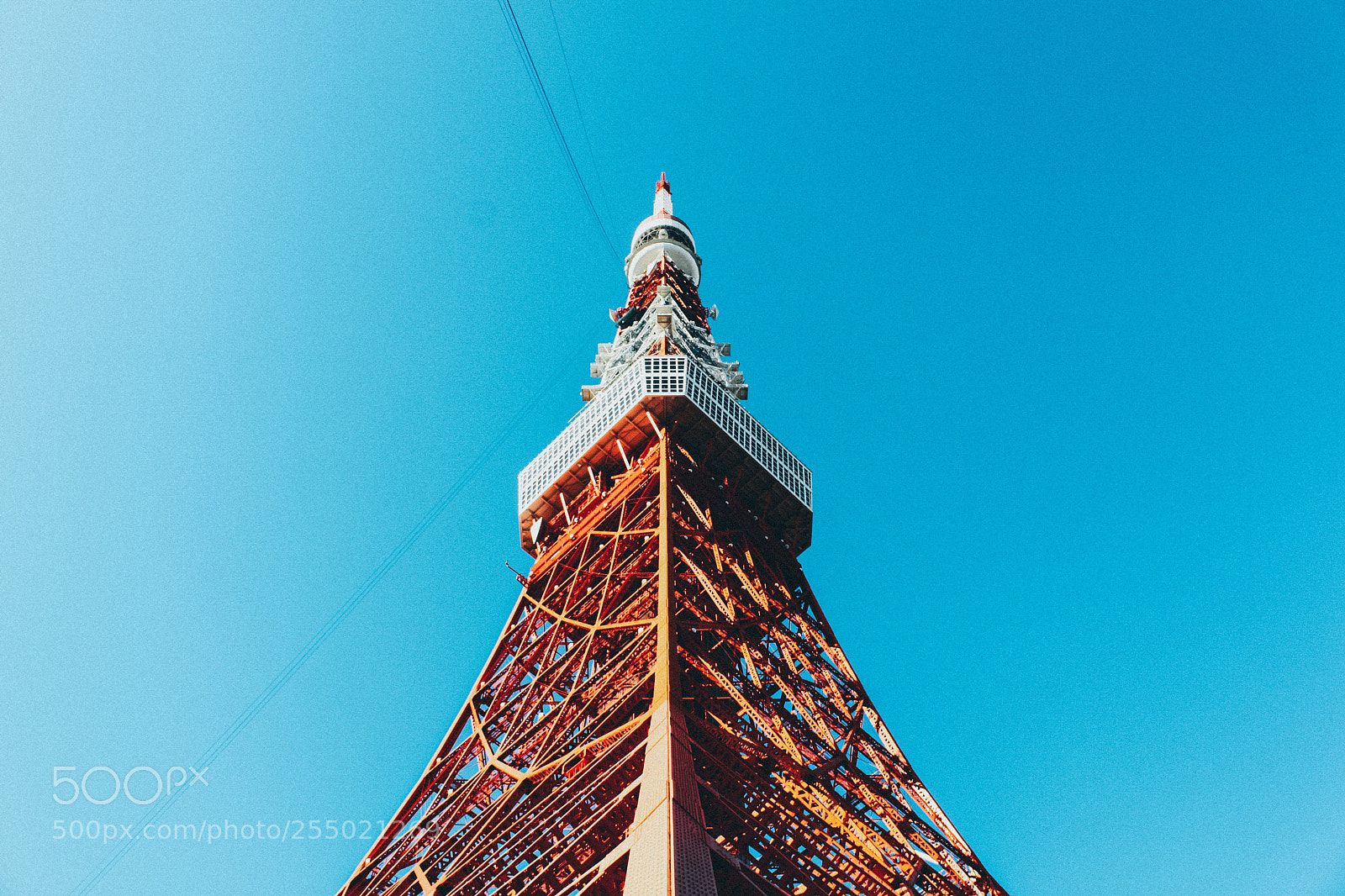 Canon EOS 500D (EOS Rebel T1i / EOS Kiss X3) sample photo. Tokyo tower photography