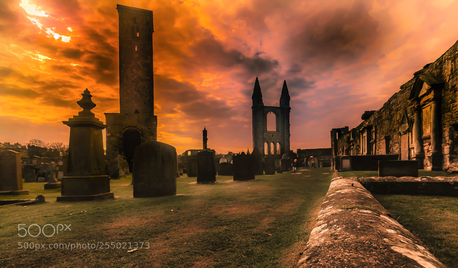 Nikon D5300 sample photo. Historic cathedral ruins graveyard photography