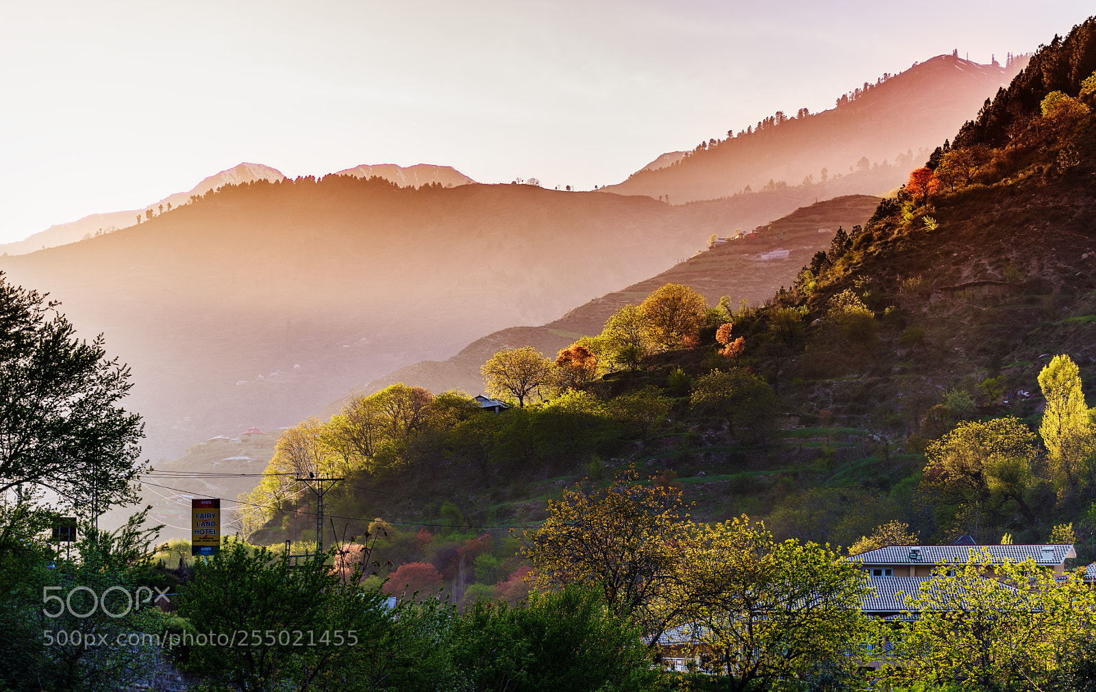 Nikon D810 sample photo. M o t h photography
