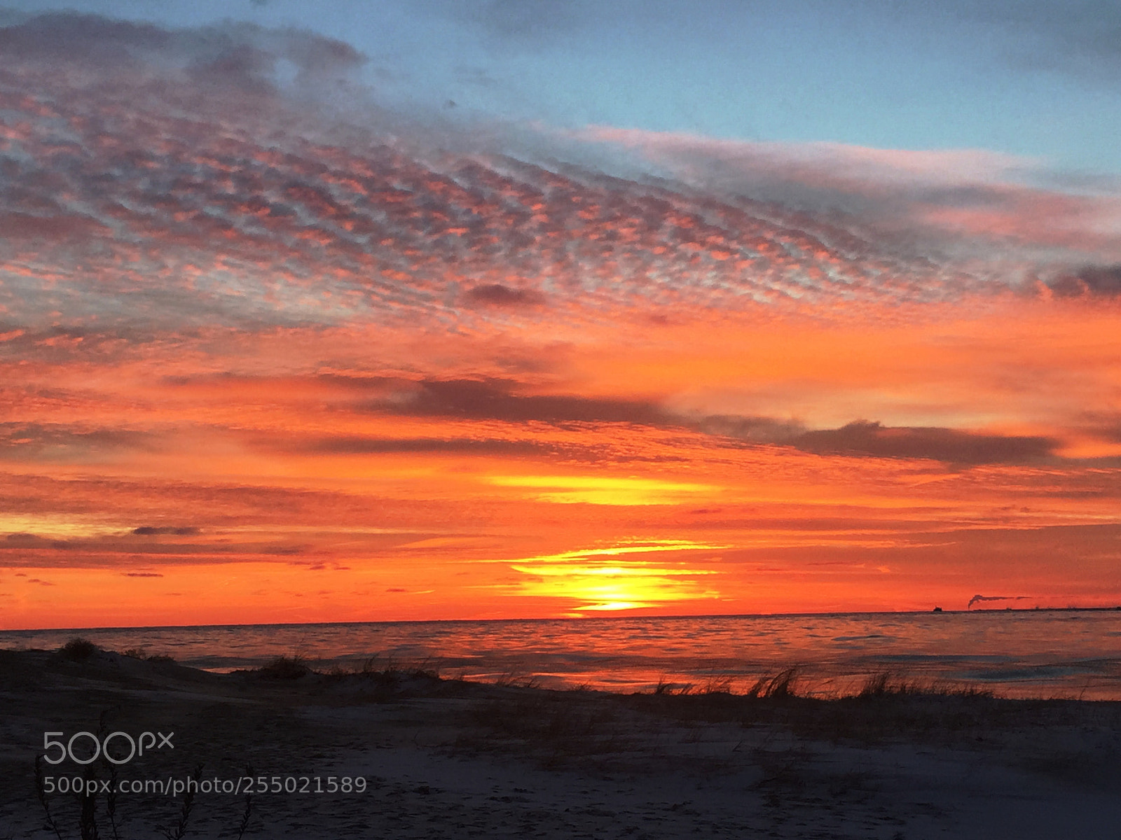 Apple iPhone 6 sample photo. Sunrise at north avenue photography