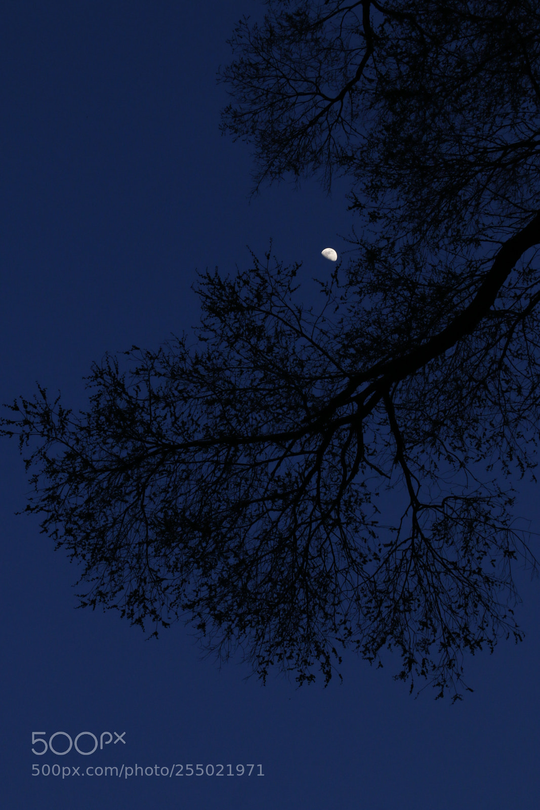 Canon EF-S 18-200mm F3.5-5.6 IS sample photo. Deep in the night photography