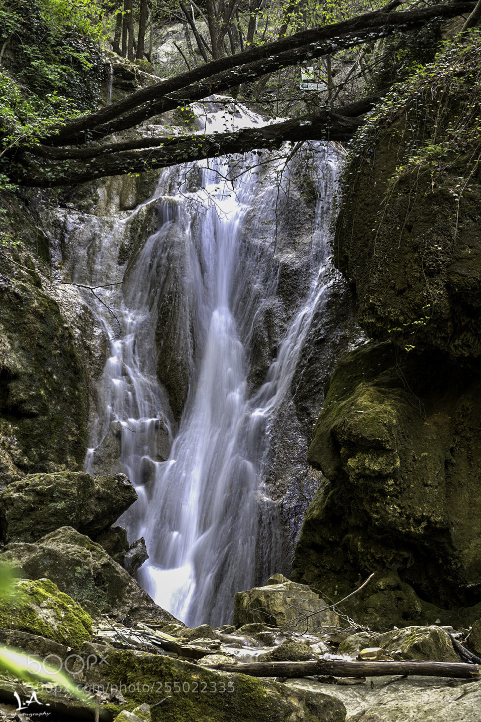 Canon EOS 760D (EOS Rebel T6s / EOS 8000D) sample photo. La forza della natura.. photography