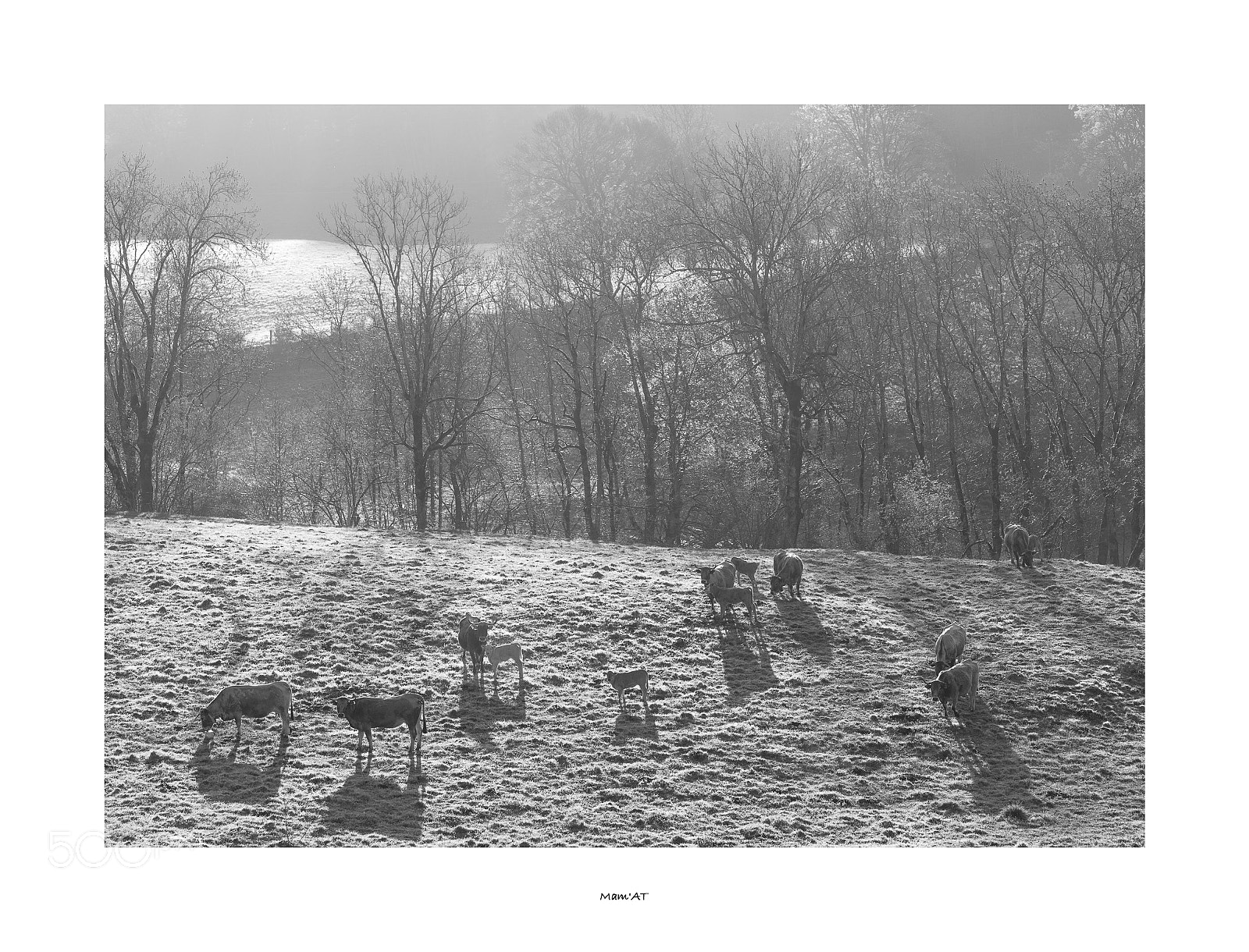 Canon EOS 6D Mark II sample photo. Tranquility photography