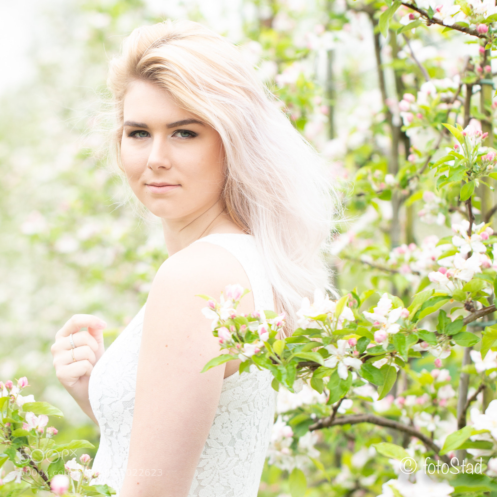 Canon EOS 6D Mark II sample photo. Apple blossem photography