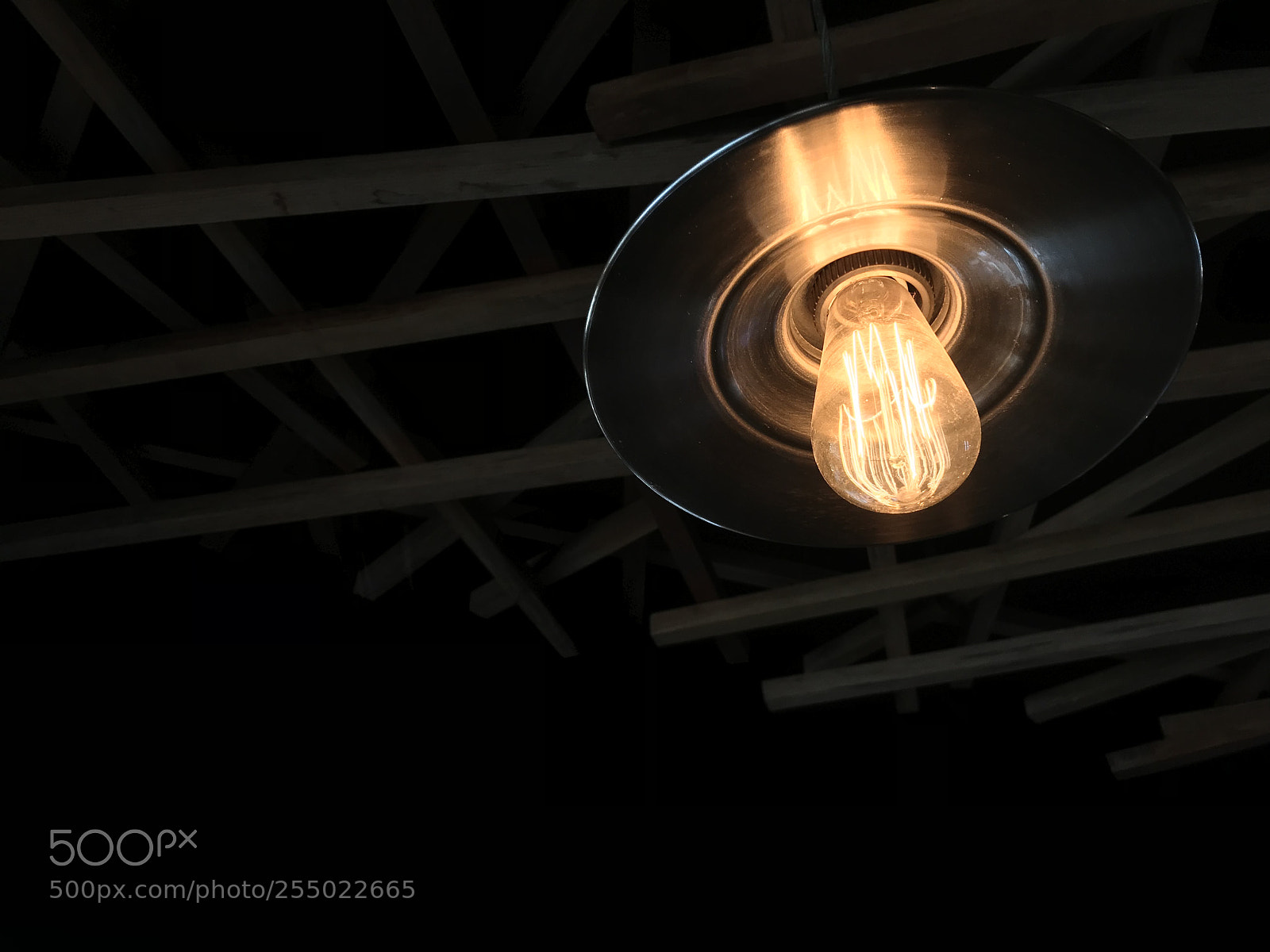 Apple iPhone 7 sample photo. Another bulb photography