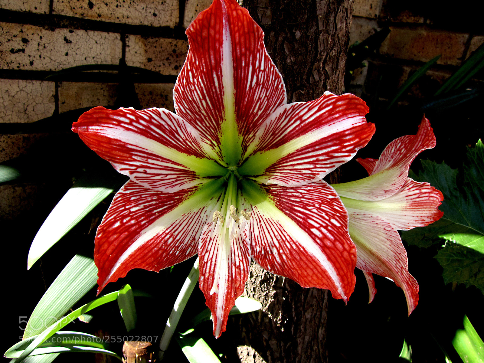 Canon PowerShot SX10 IS sample photo. Img photography