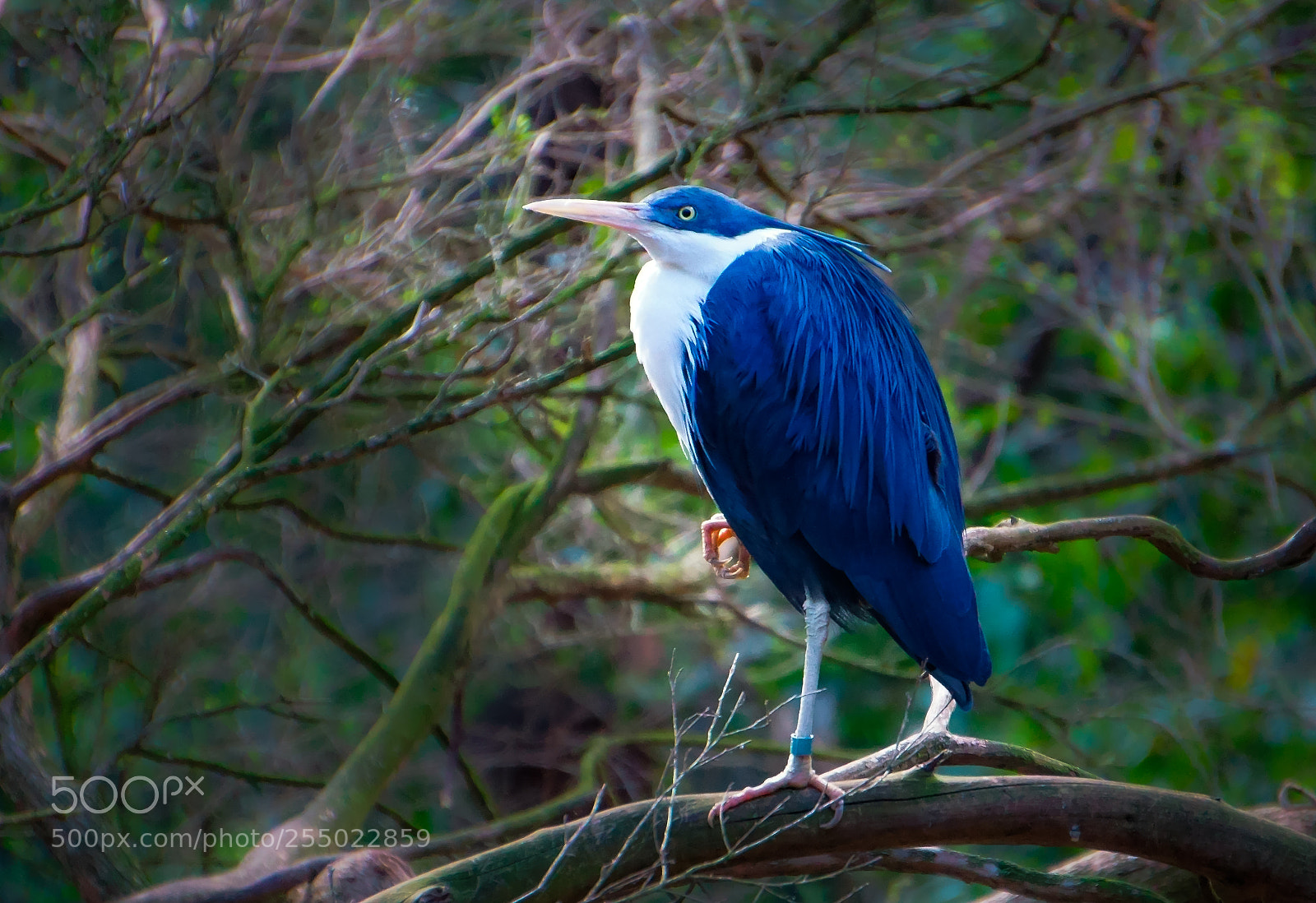 Sony a6000 sample photo. Nature beauty photography