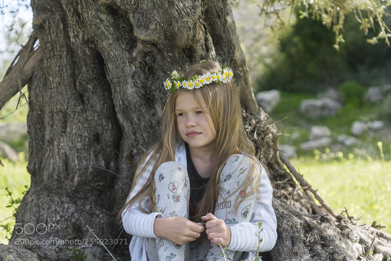 Sony ILCA-77M2 sample photo. Sasha photography
