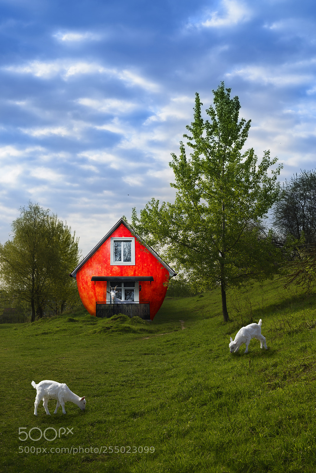 Nikon D610 sample photo. Fabulous apple house in photography