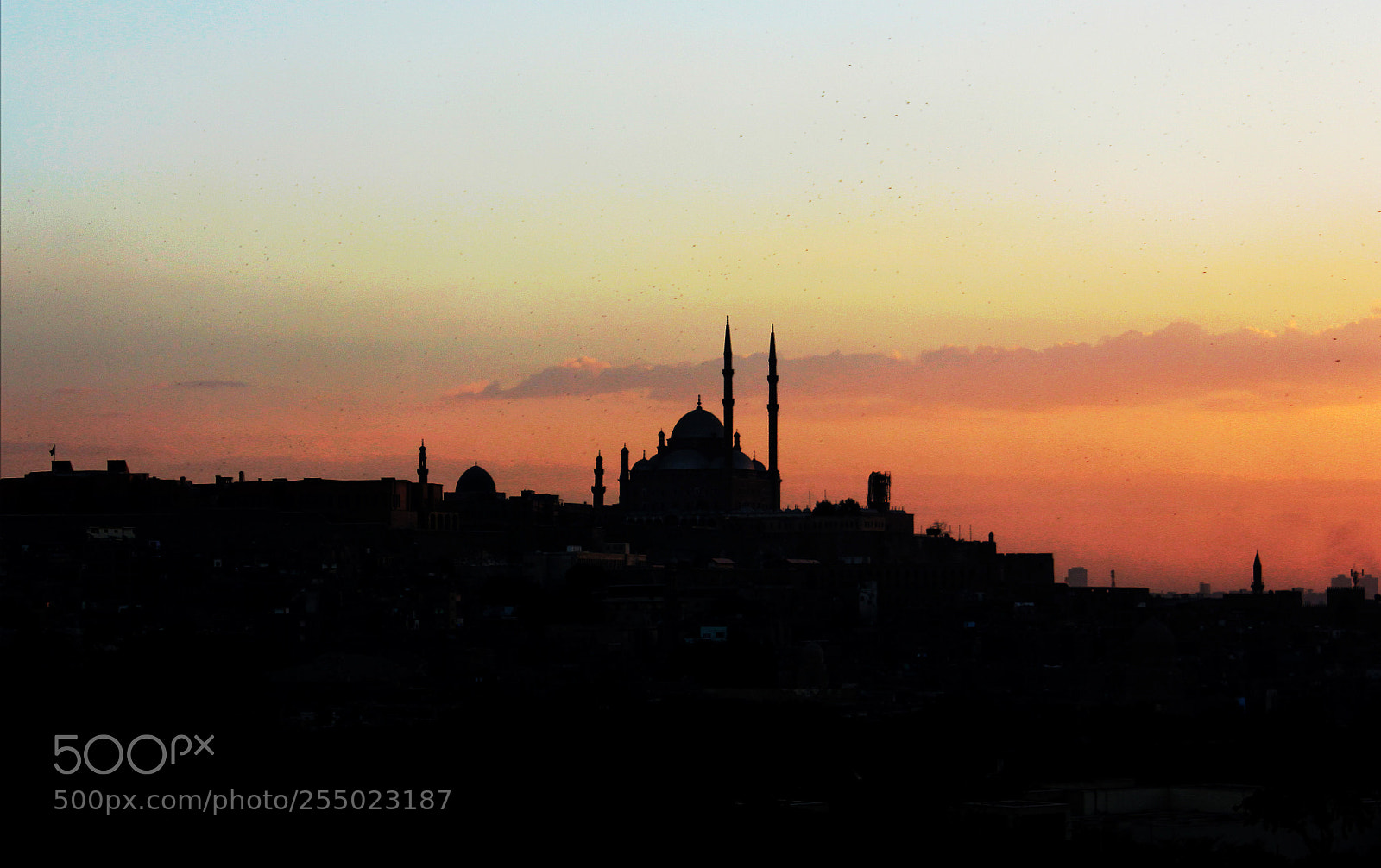 Canon EOS 550D (EOS Rebel T2i / EOS Kiss X4) sample photo. Mohammed ali's castle photography