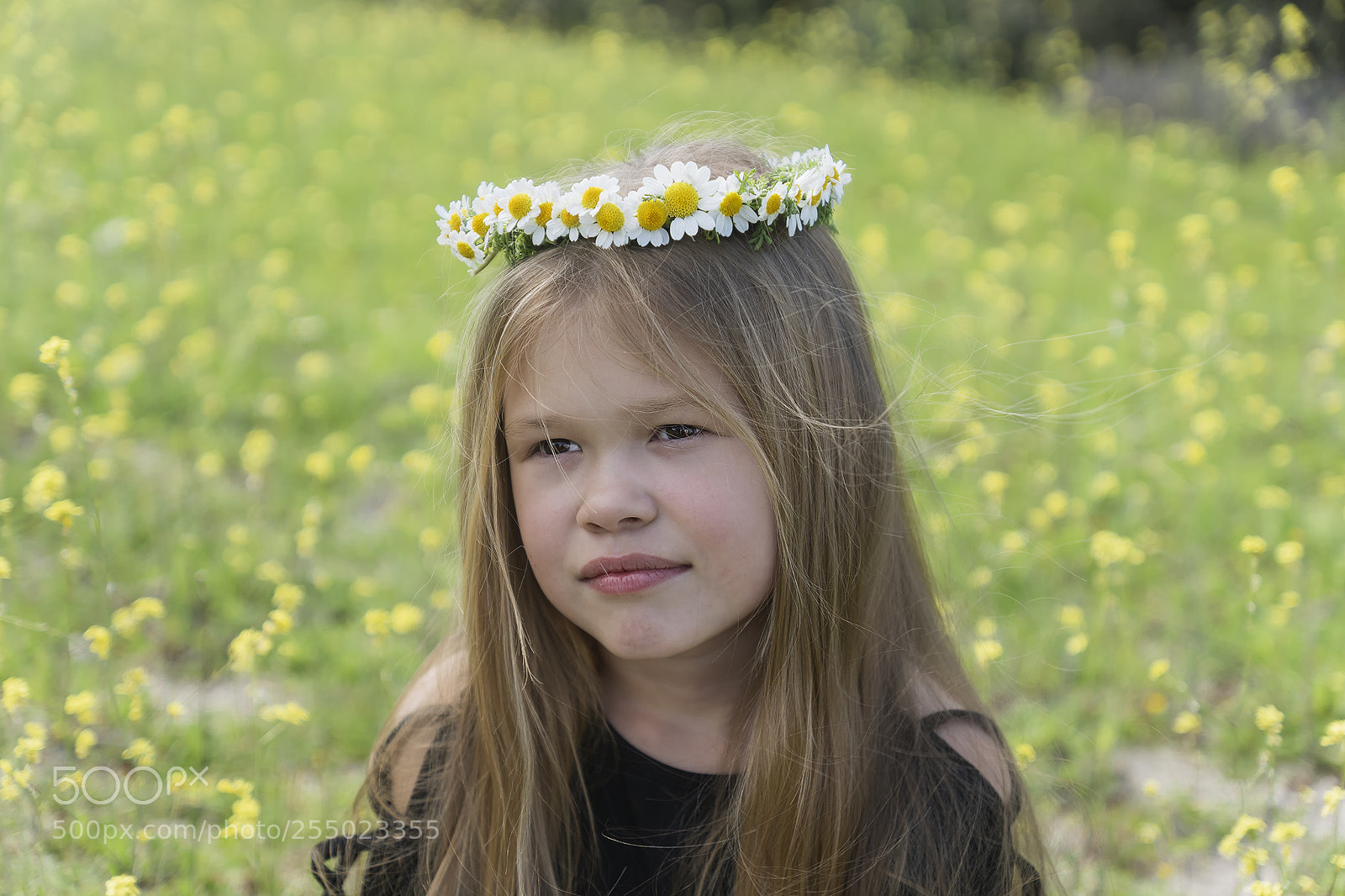 Sony ILCA-77M2 sample photo. Sasha photography