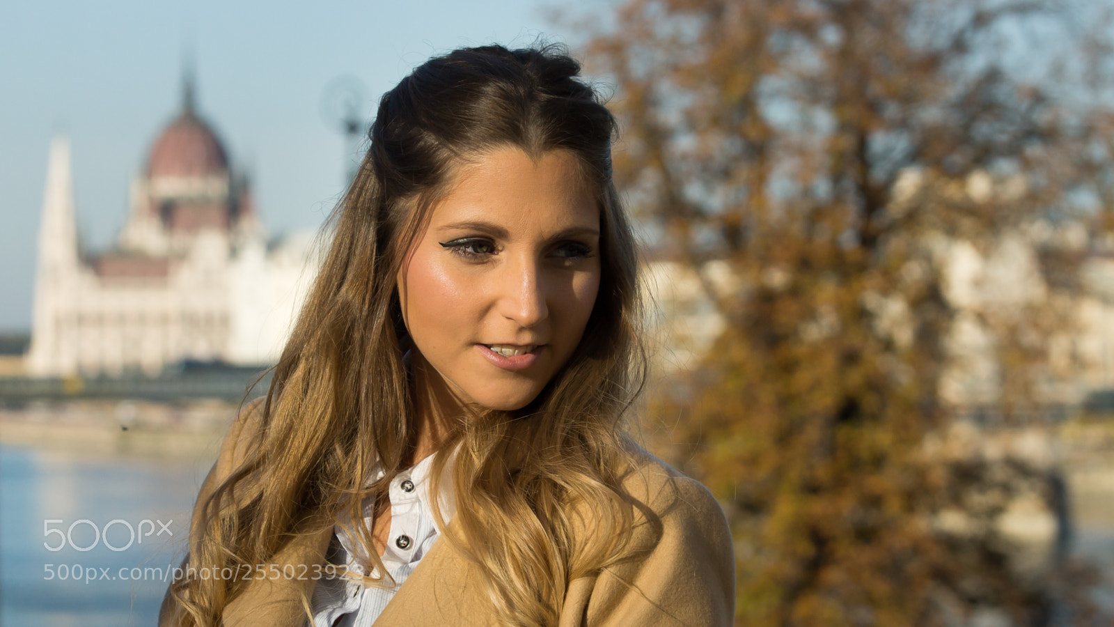 Sony SLT-A77 sample photo. Dalma photography