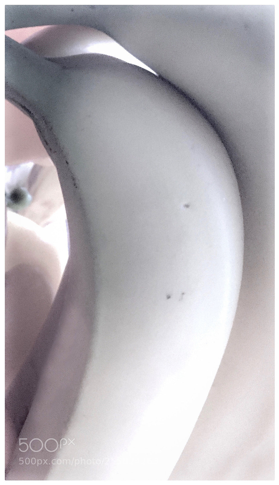 Apple iPhone 6 sample photo. Position (...not the hunter) photography