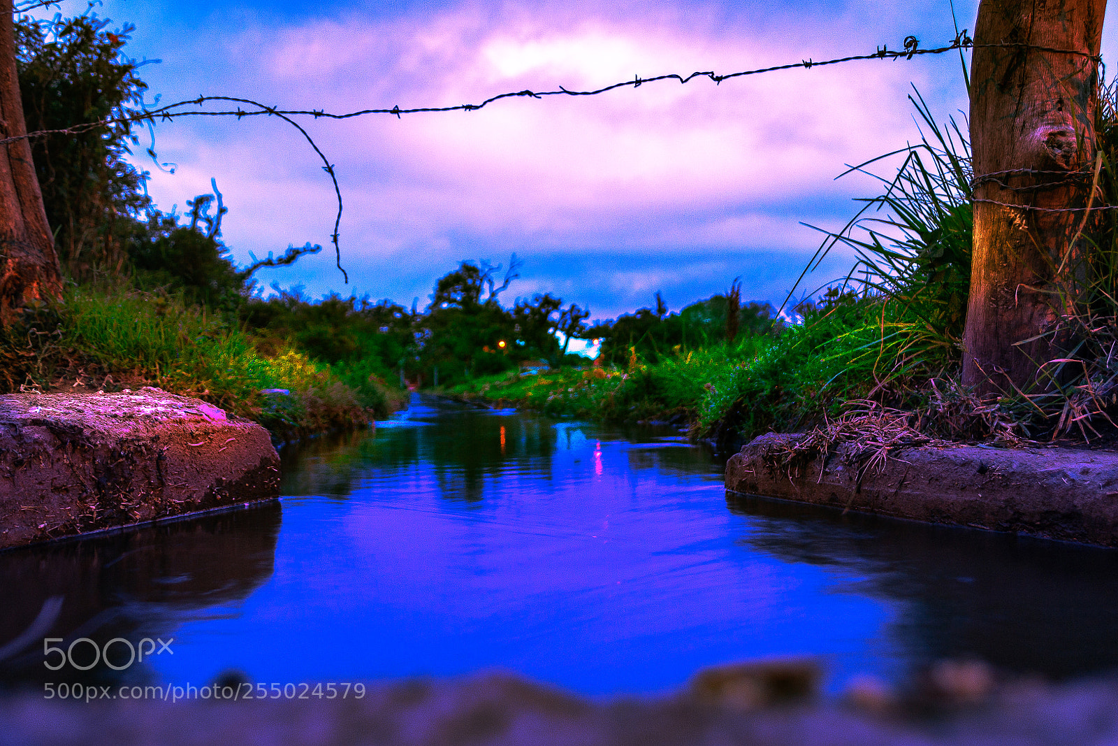 Nikon D3100 sample photo. Colors photography