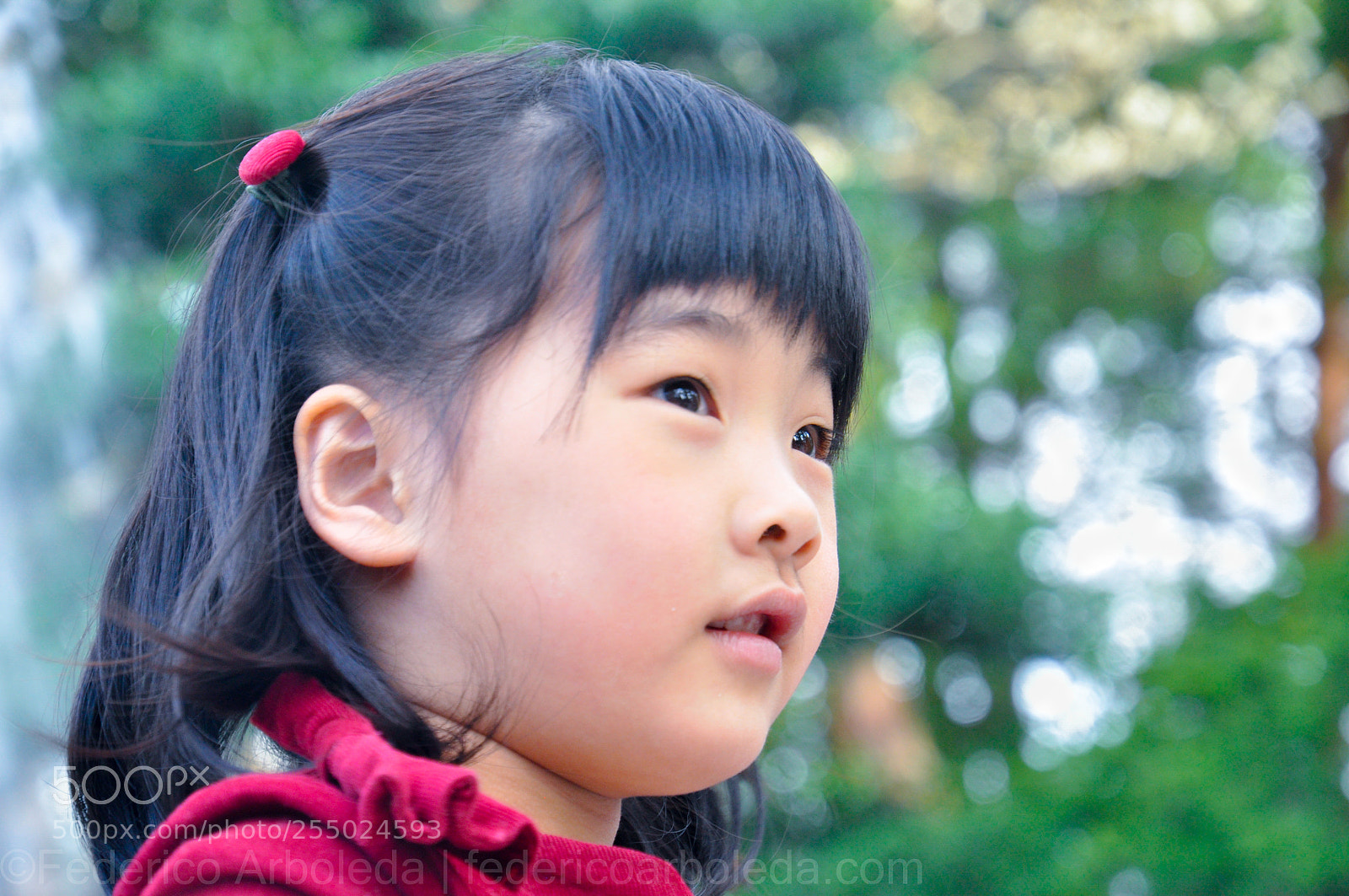 Nikon D90 sample photo. Honey? photography