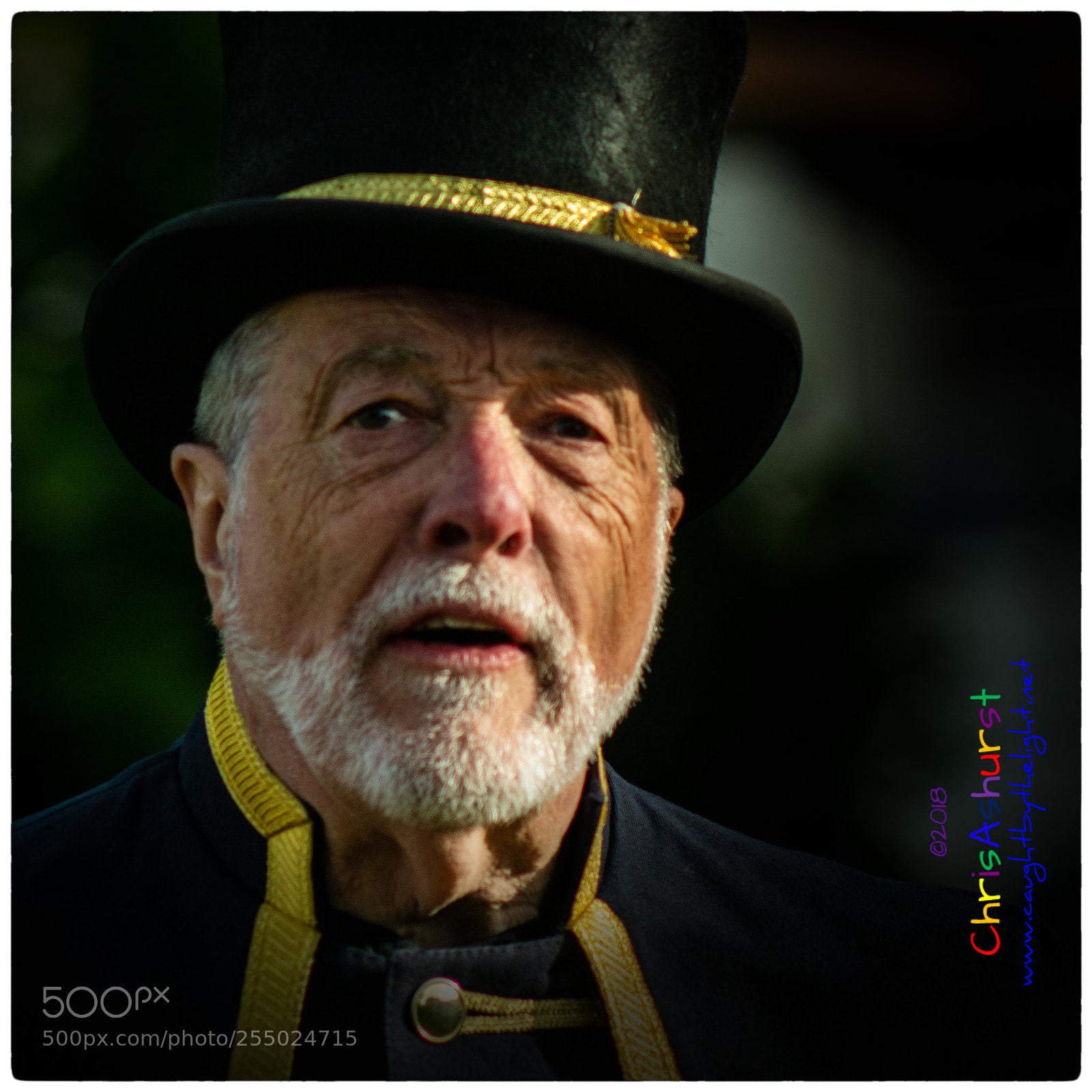 Nikon D7100 sample photo. Seaford town crier in photography