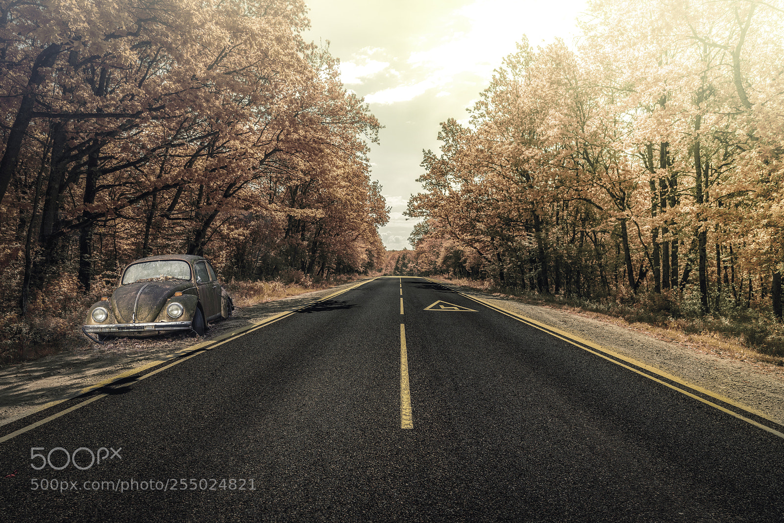 Canon EOS 6D Mark II sample photo. Road photography