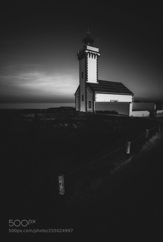 Canon EOS 5D Mark II sample photo. Poulain noir photography
