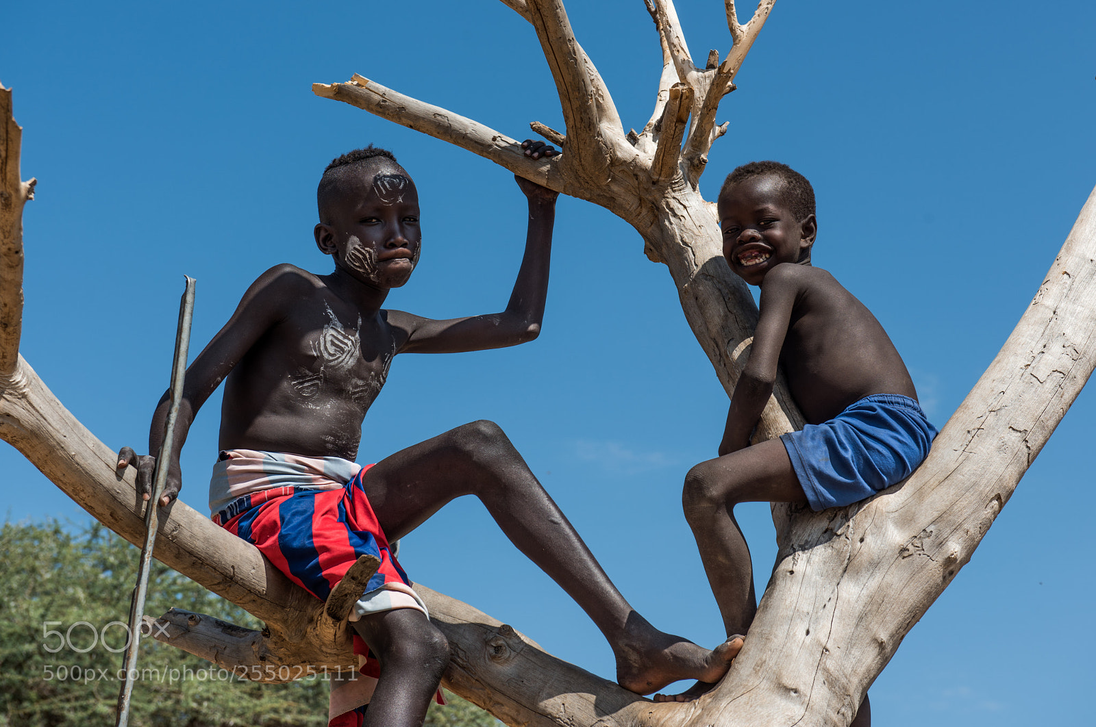 Nikon D810 sample photo. Karo tribe boys photography