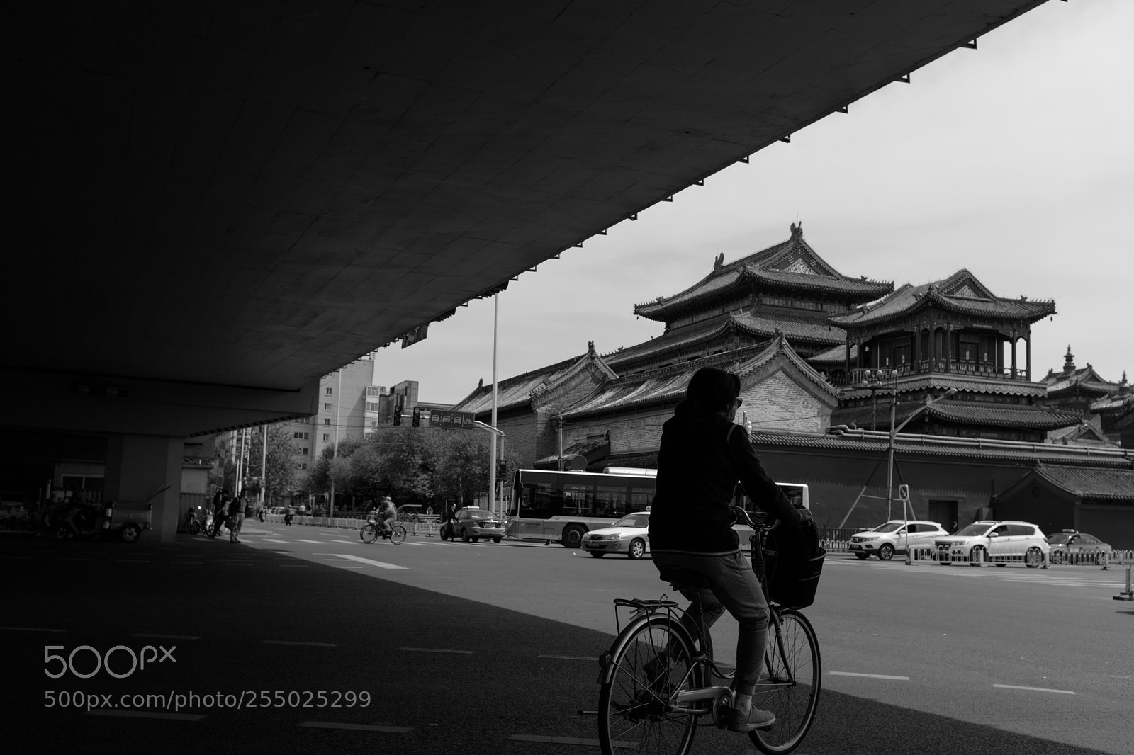 Fujifilm X100F sample photo. Street outside lama temple photography
