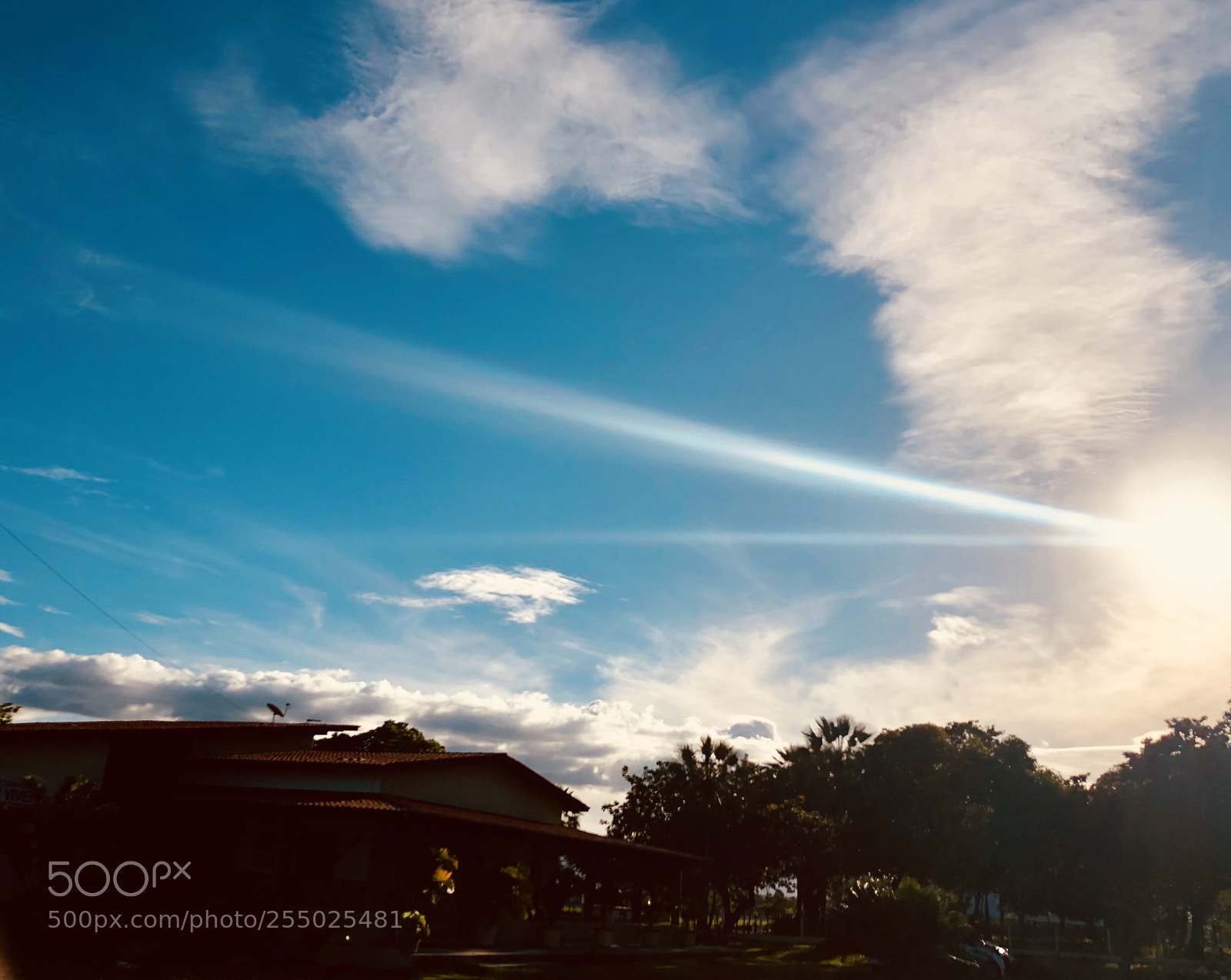 Apple iPhone 8 Plus sample photo. Untitled photography