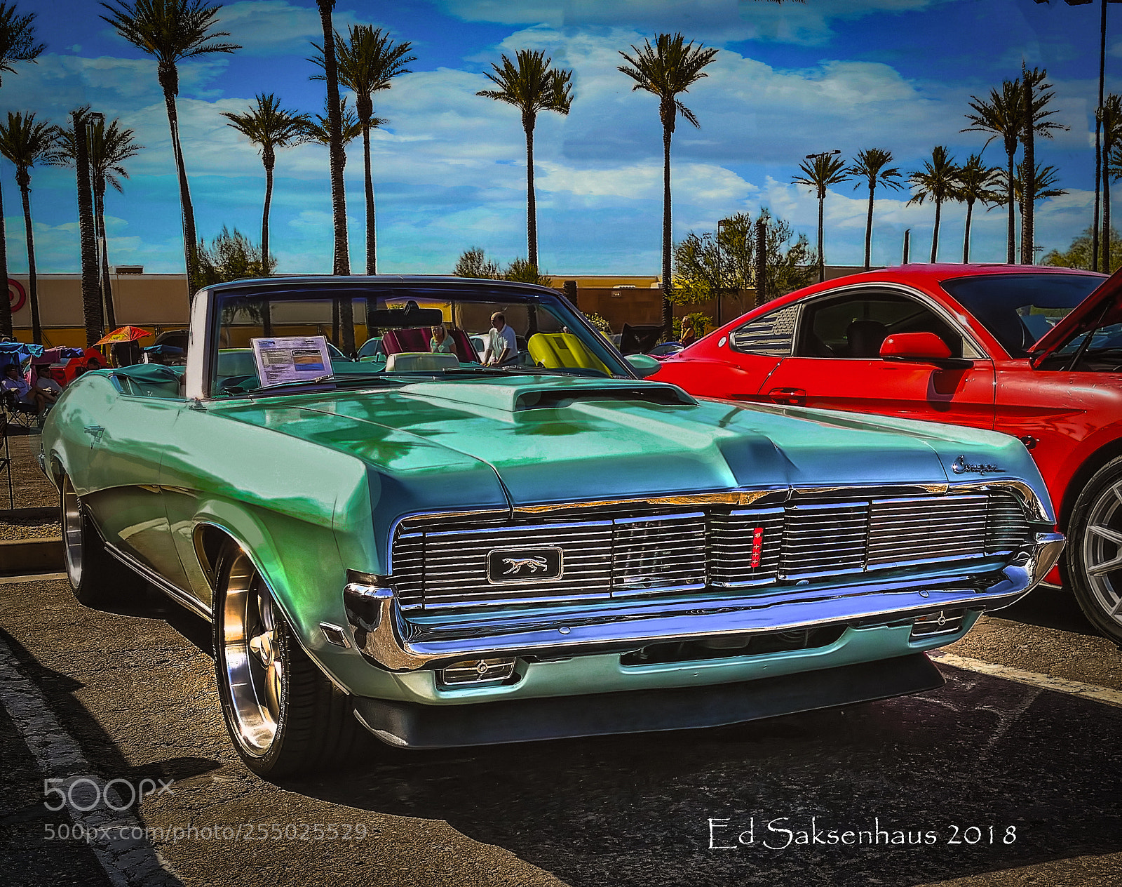 Panasonic Lumix DMC-FZ1000 sample photo. Mercury cougar photography