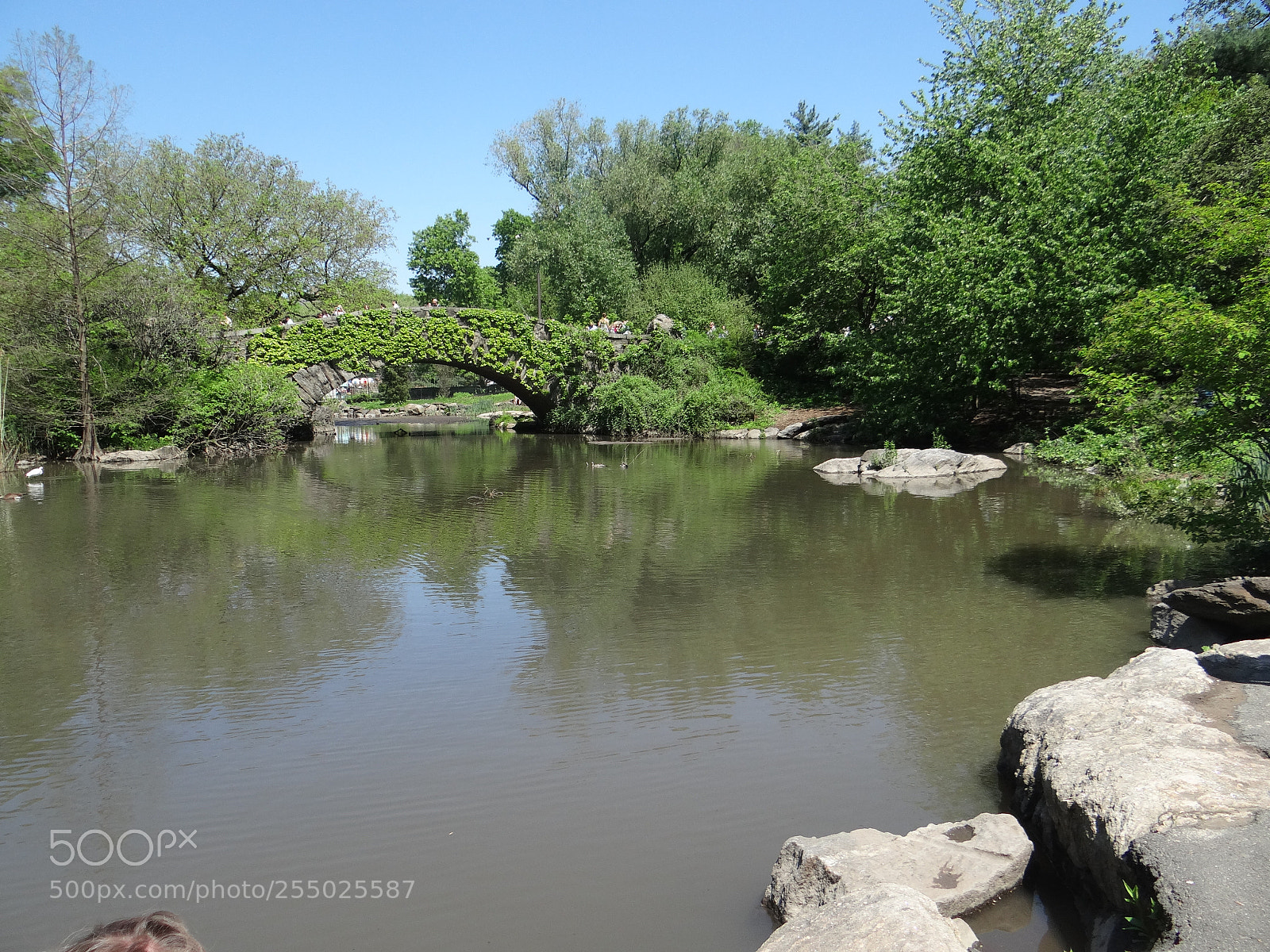 Sony DSC-HX200V sample photo. Foto new york photography
